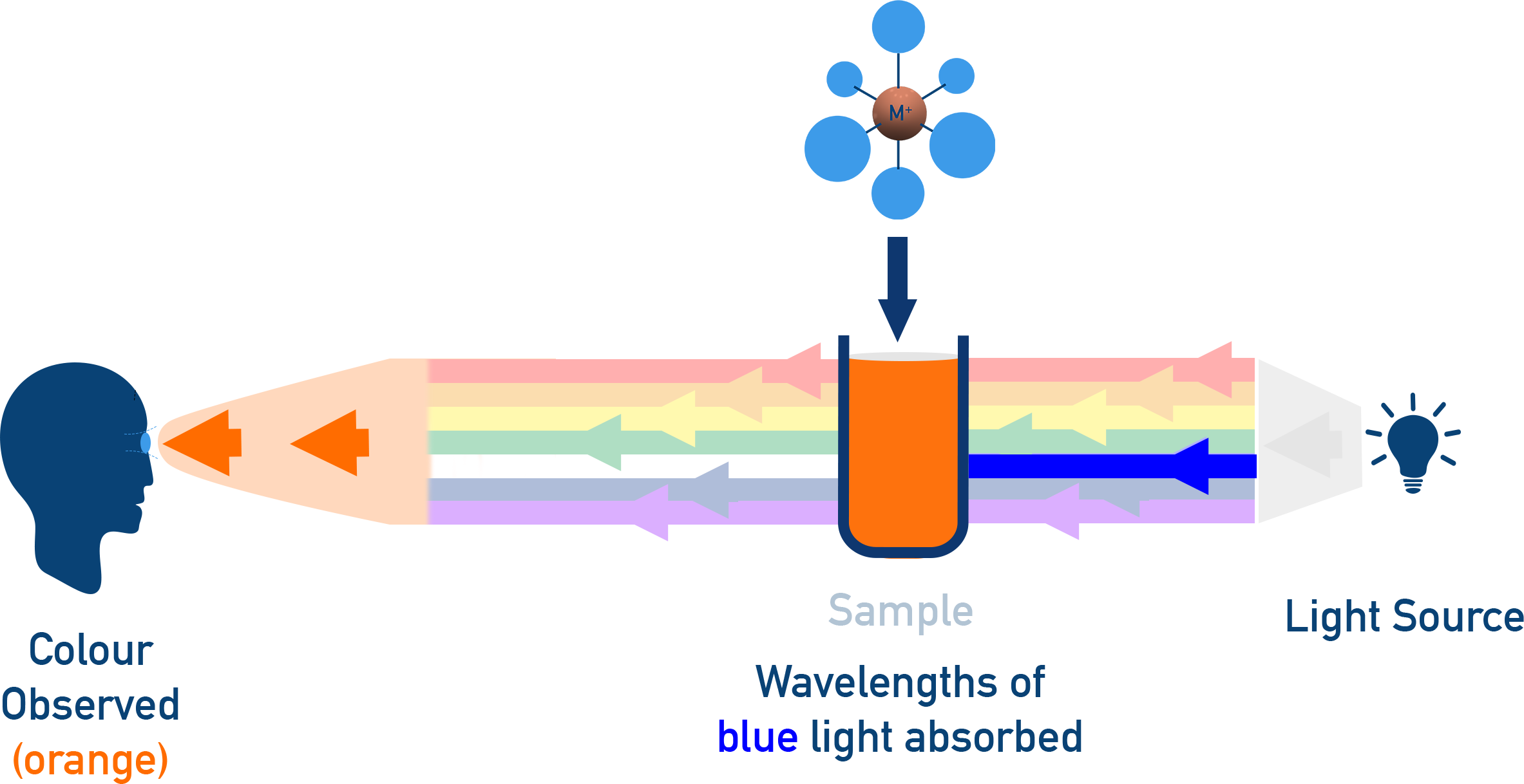 IB Chemistry diagram showing absorbed light wavelengths and complementary observed colours.