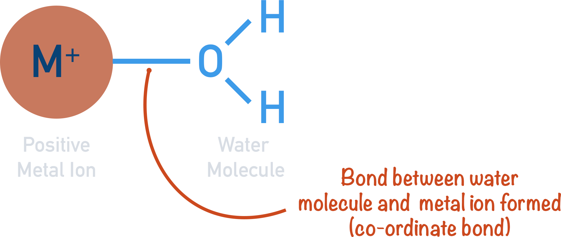 complex ion bonding