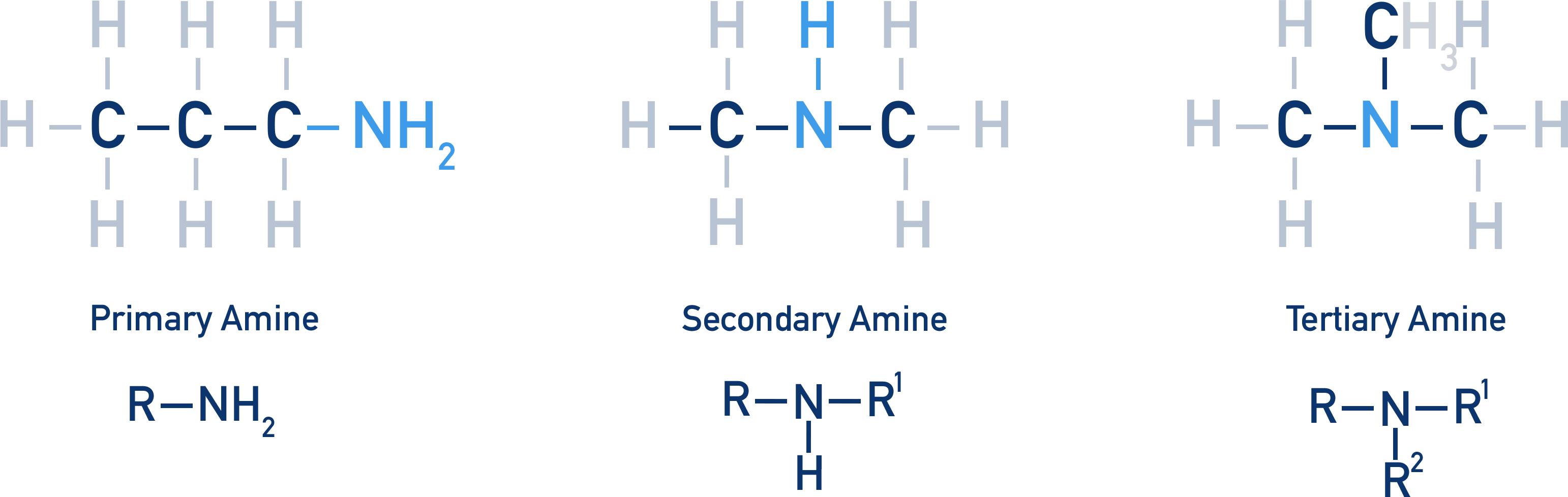 amides vs amines