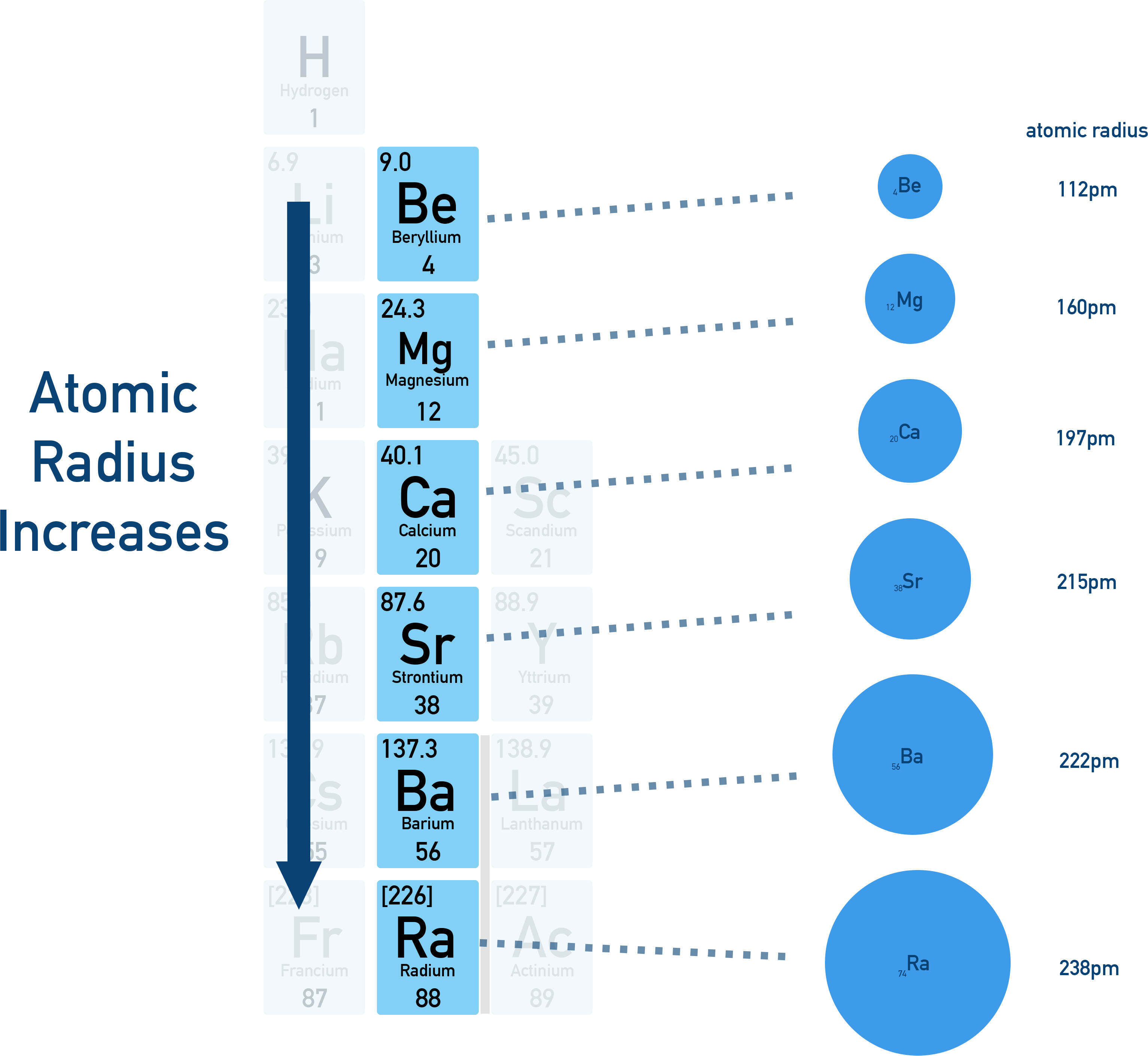NCERT 11 Chemistry diagram showing atomic radius increasing down a group because of additional shells and shielding.
