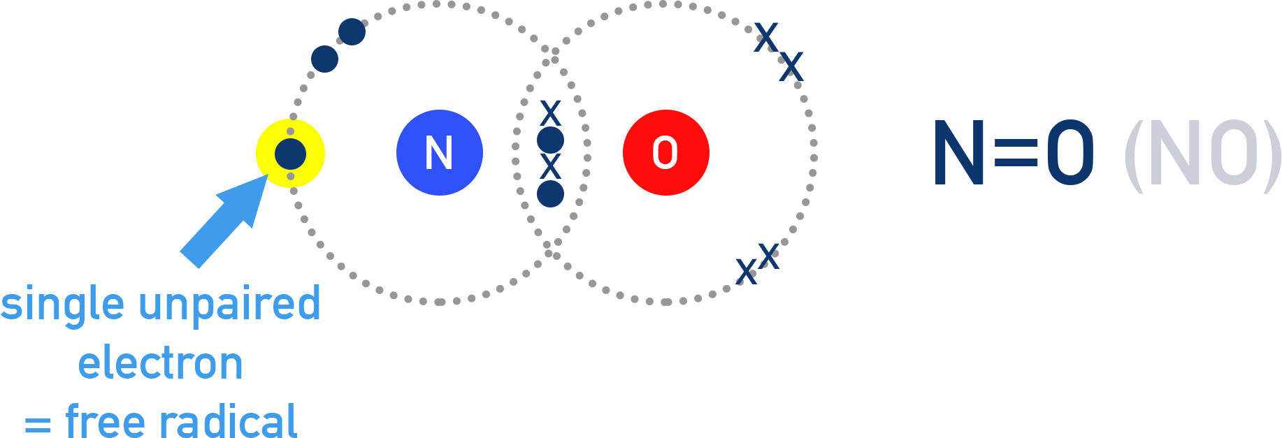 NCERT 11 Chemistry odd-electron example nitric oxide NO showing unpaired electron and incomplete octet.