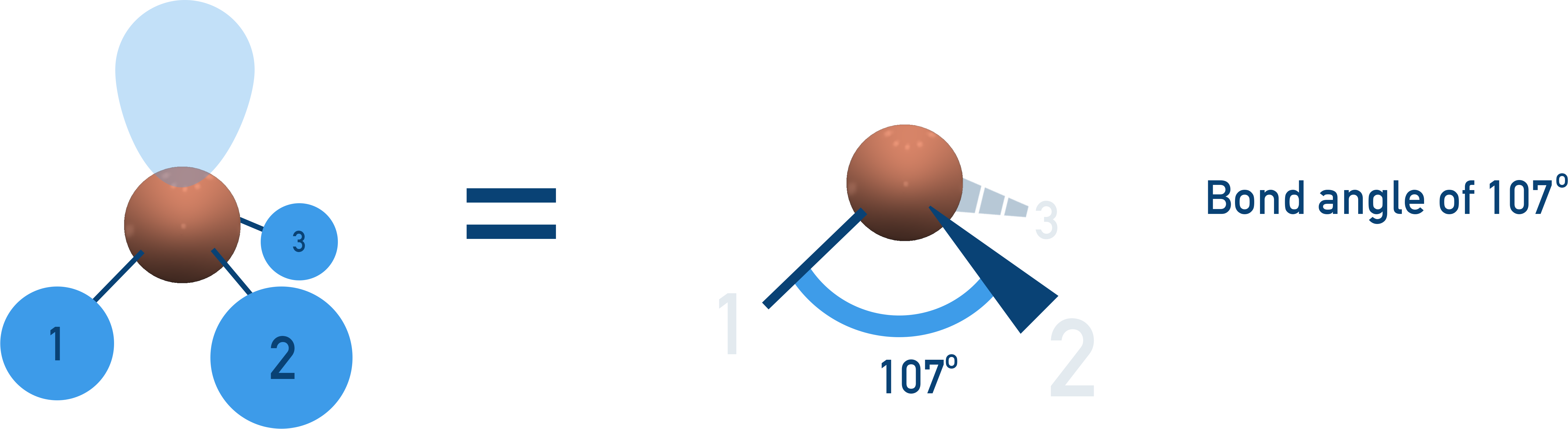 NCERT Class 11 Chemistry diagram showing trigonal pyramidal shape with 107° bond angle