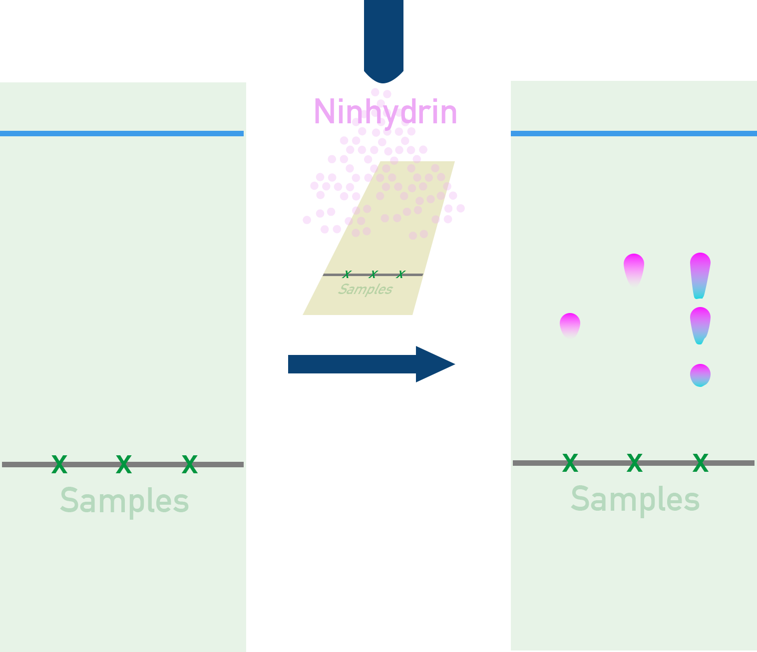 NCERT 11 Chemistry TLC plate visualisation with locating agents such as iodine vapour or UV light.