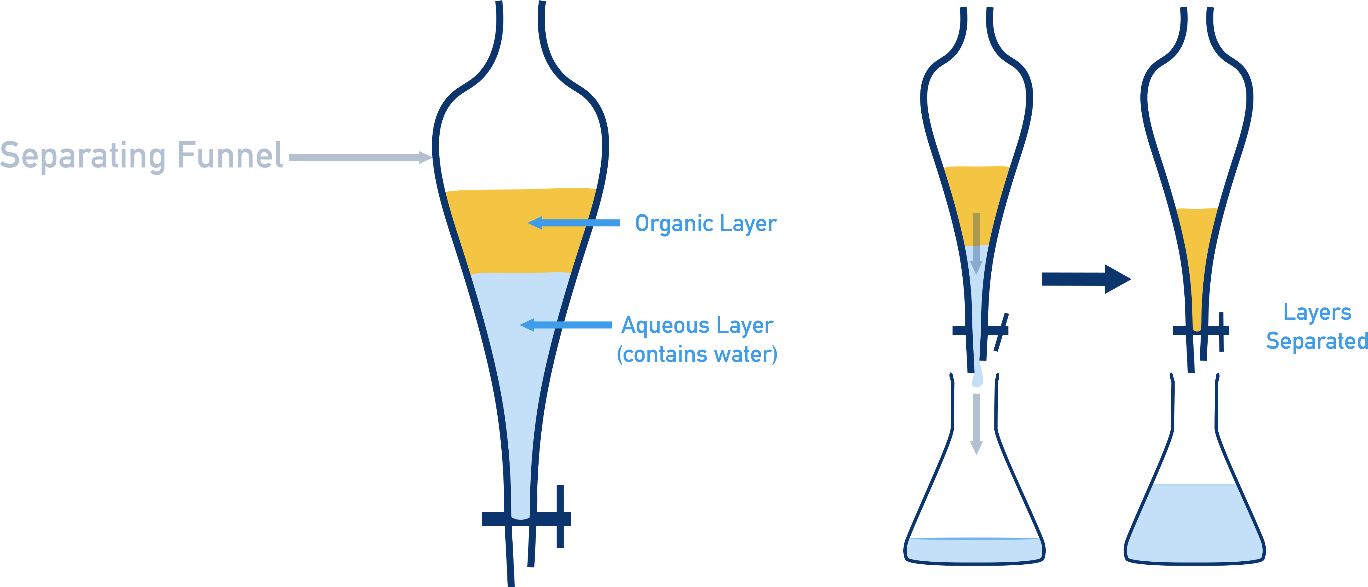 NCERT 11 Chemistry separating funnel diagram showing differential extraction between aqueous and organic layers.