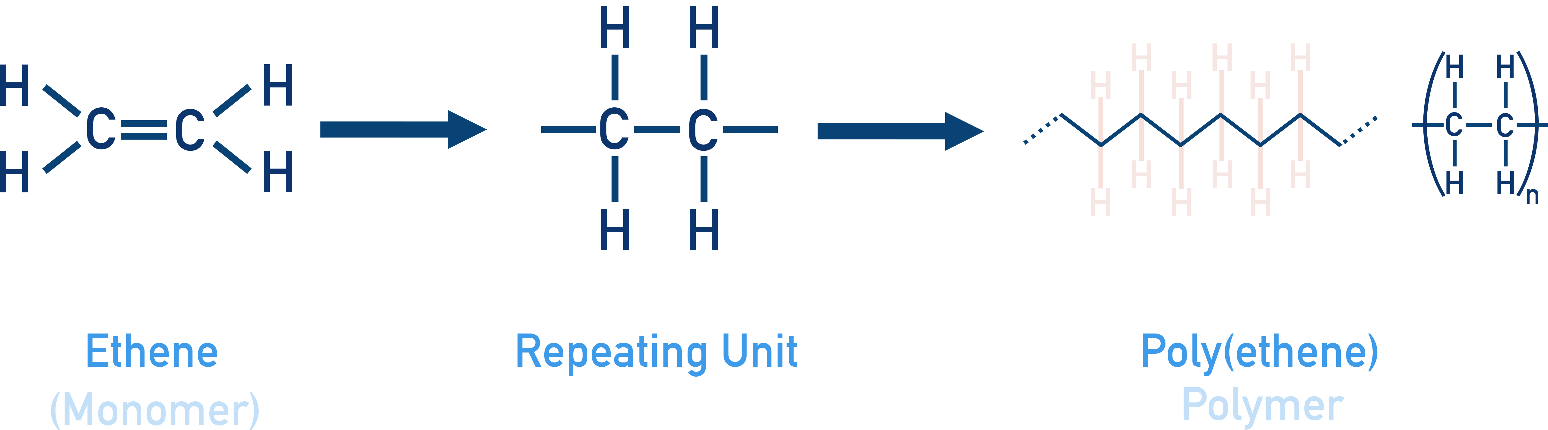 NCERT 11 Chemistry addition polymerisation of ethene to polyethene showing repeating units.