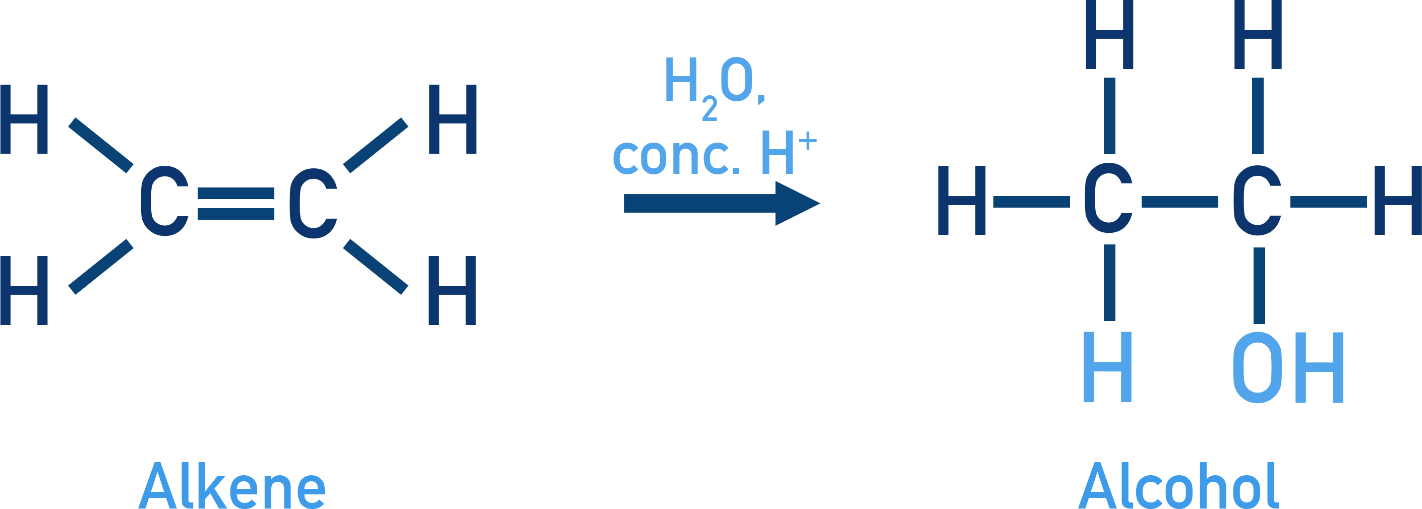 NCERT 11 Chemistry acid-catalysed hydration of alkenes to alcohols following Markovnikov rule.