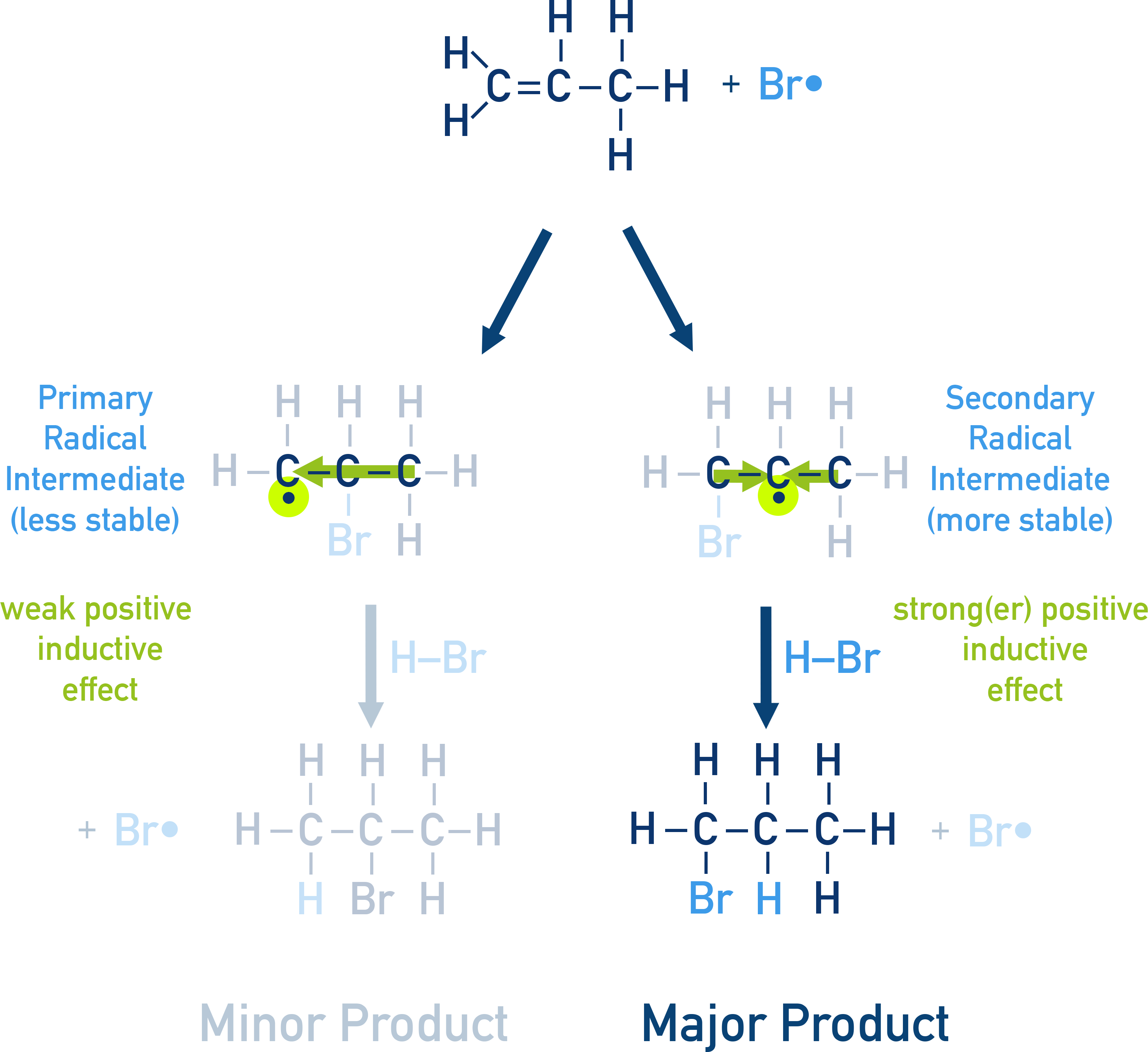 NCERT 11 Chemistry anti-Markovnikov addition of HBr to propene in the presence of peroxide forming 1-bromopropane.