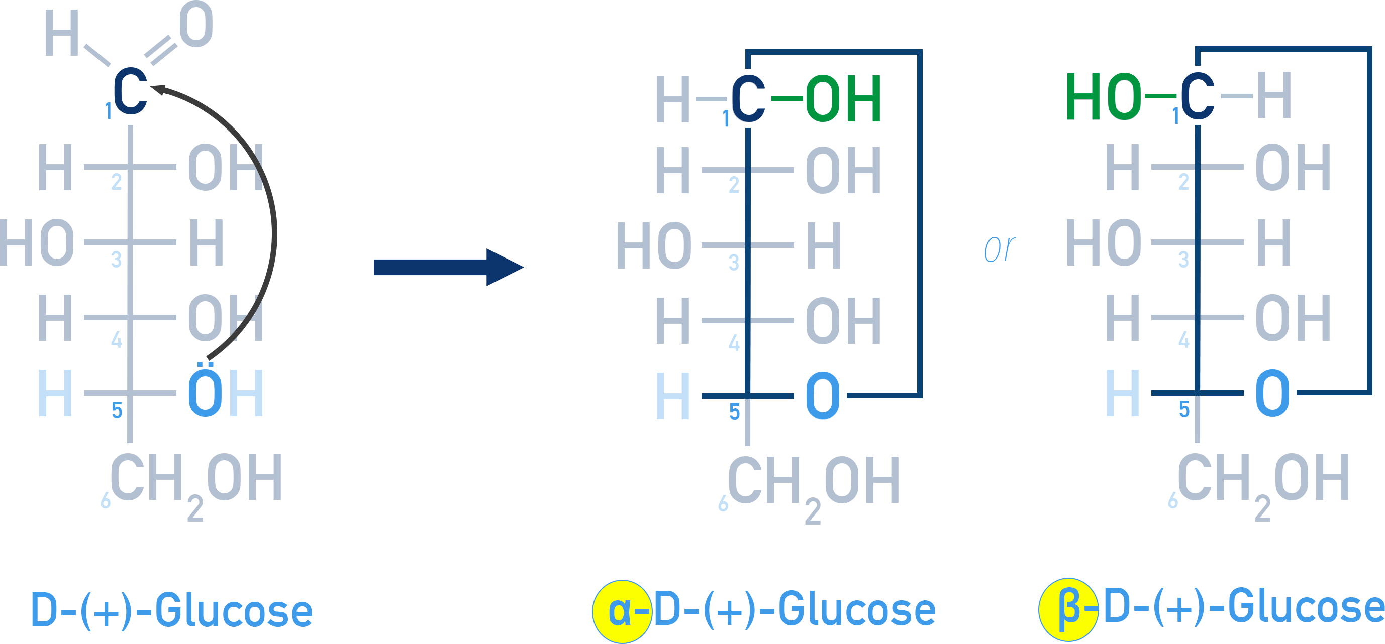 IB Chemistry NCERT Class 12 Carbohydrates: intramolecular hemiacetal formation in glucose producing pyranose ring and anomers.
