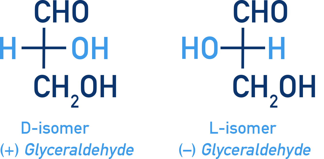 Chemistry NCERT Class 12 Carbohydrates: Fischer projections of D- and L-glyceraldehyde for configuration reference.