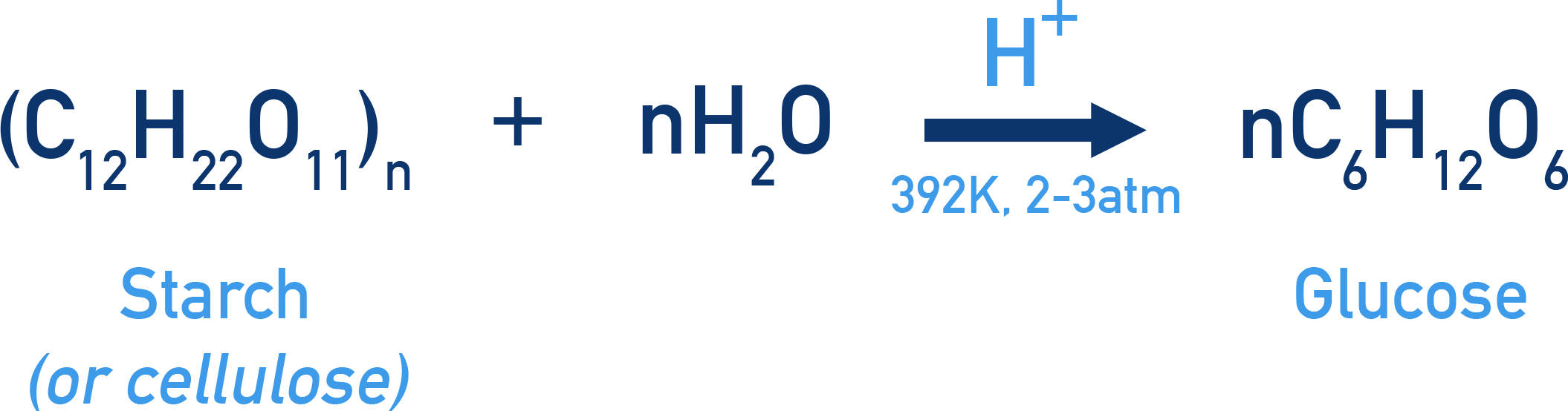 IB Chemistry NCERT Class 12 Carbohydrates: acidic hydrolysis of starch to produce glucose.