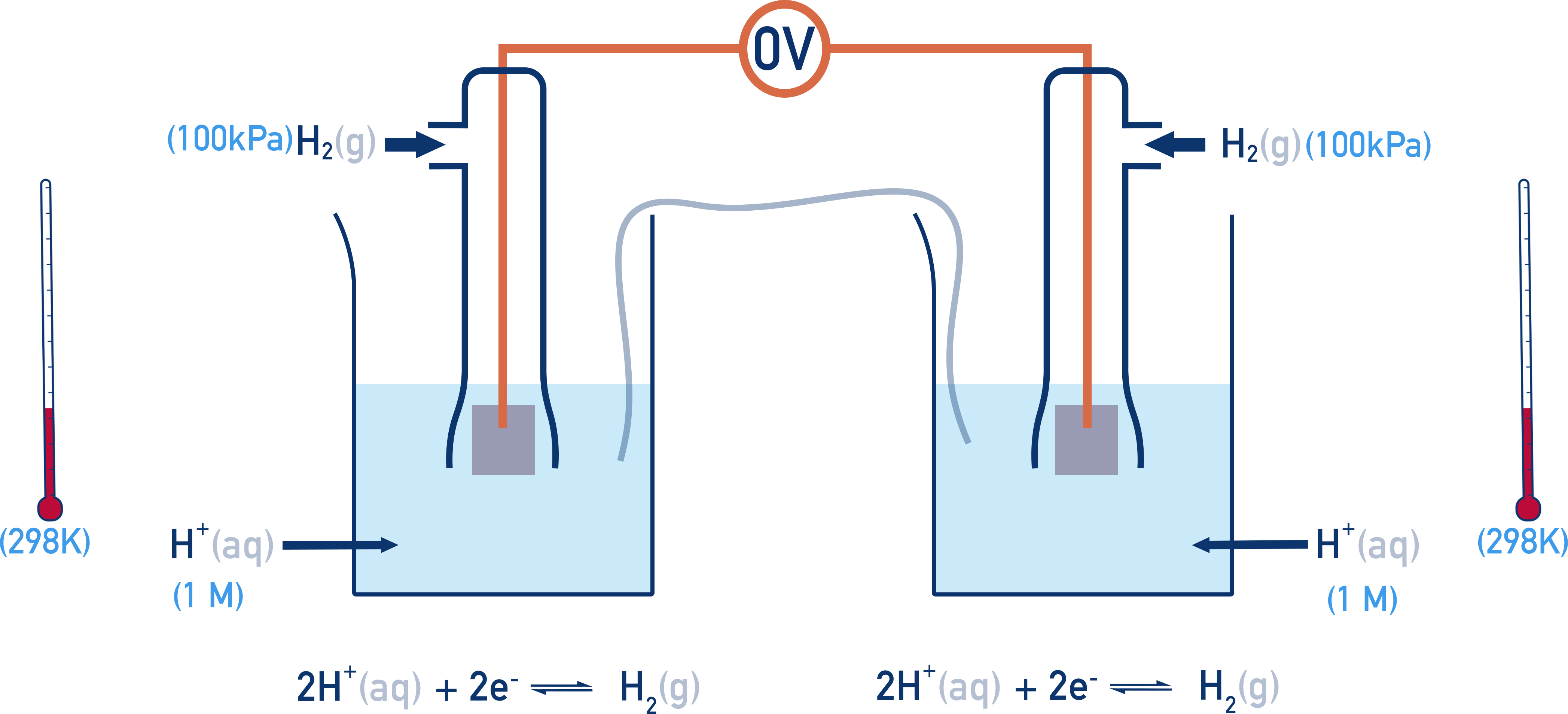 Chemistry NCERT Class 12 schematic showing two SHE half-cells connected to give 0.00 V as reference.