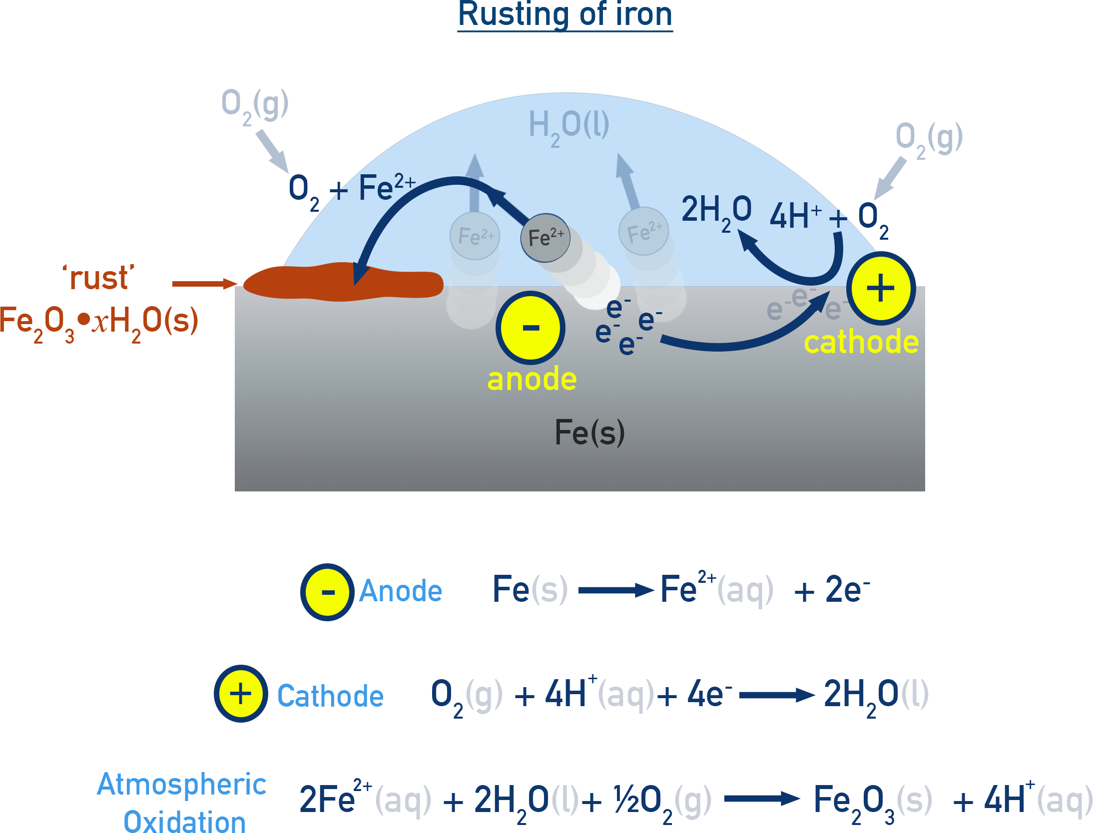 NCERT 11 Chemistry schematic showing localized anodic and cathodic areas on iron leading to Fe2+ formation and oxygen reduction, culminating in hydrated iron(III) oxide rust Fe2O3·xH2O.