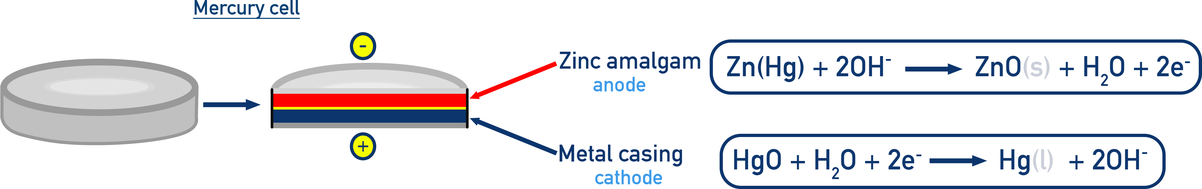 Chemistry NCERT Class 12 mercury cell schematic with zinc amalgam anode, KOH–ZnO paste electrolyte, and HgO cathode giving a near-constant EMF.