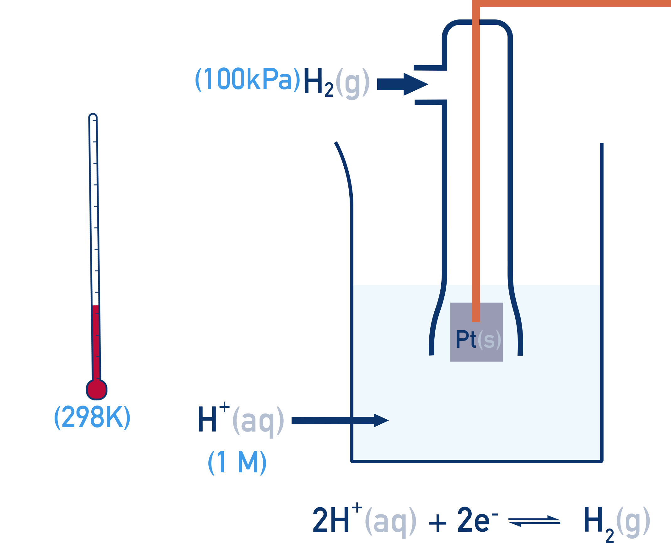 Chemistry NCERT Class 12 Standard Hydrogen Electrode diagram with H2 at 100 kPa, 1 mol dm⁻3 H+ and a platinum electrode at 298 K.