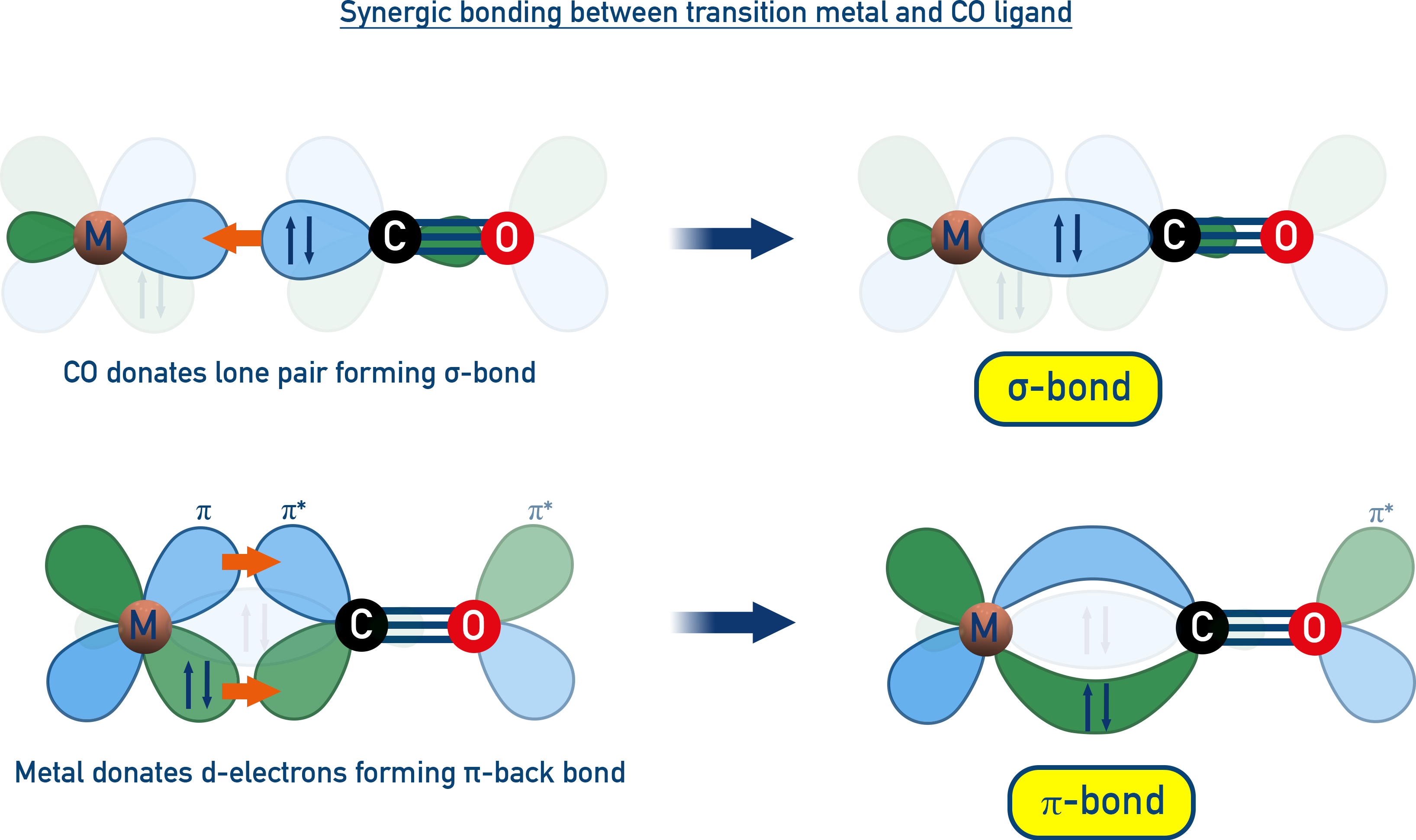 Chemistry metal carbonyl bonding diagram showing σ donation from CO to metal and π back-bonding from metal d orbitals to CO π* antibonding orbitals with synergic interaction NCERT 12 .
