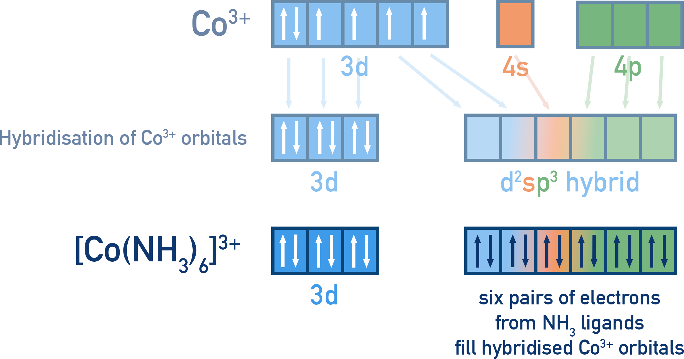 NCERT 12 Chemistry VBT example for [Co(NH3)6]3+ showing d2sp3 inner-orbital octahedral hybridisation and electron pairing under NCERT Class 11 board reference.