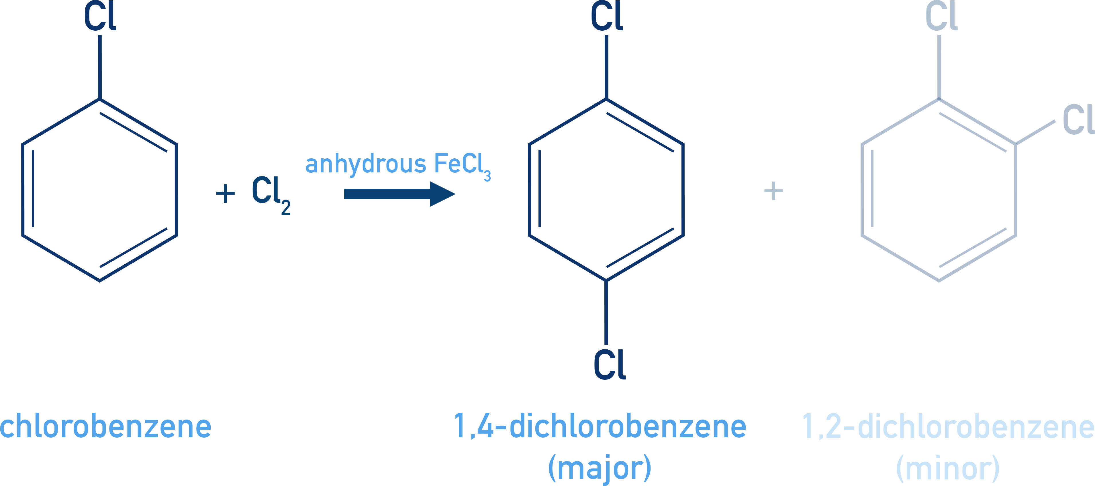 NCERT Class 12 Chemistry halogenation of chlorobenzene to give ortho and para dichlorobenzene using FeCl3.