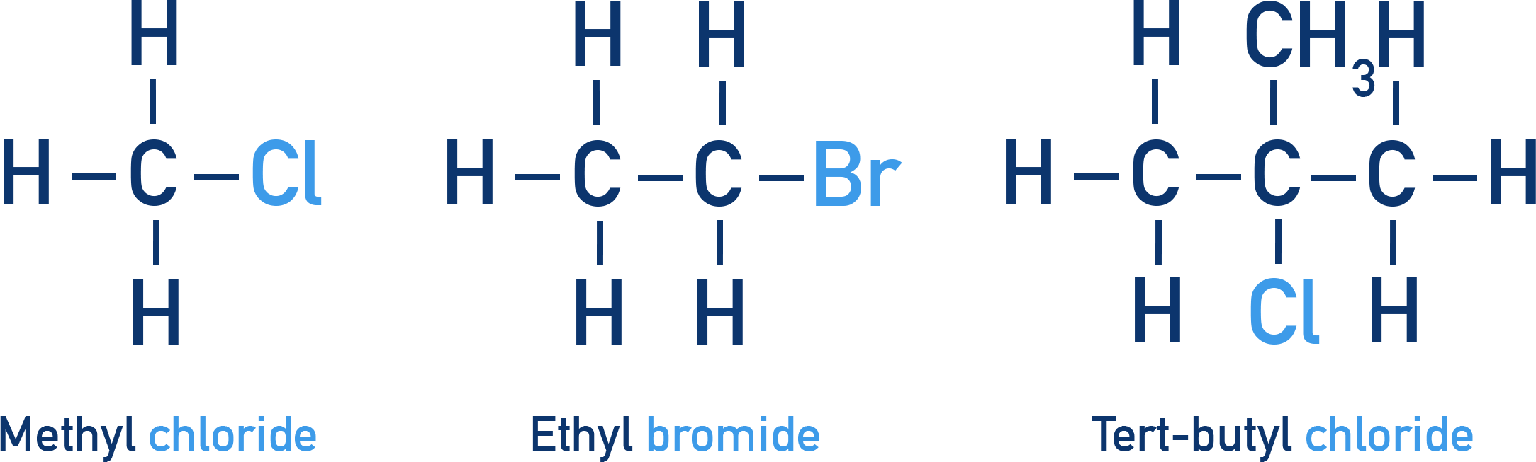 IB Chemistry NCERT Class 12 — examples image for common names of haloalkanes including methyl chloride, ethyl bromide, tert-butyl chloride.