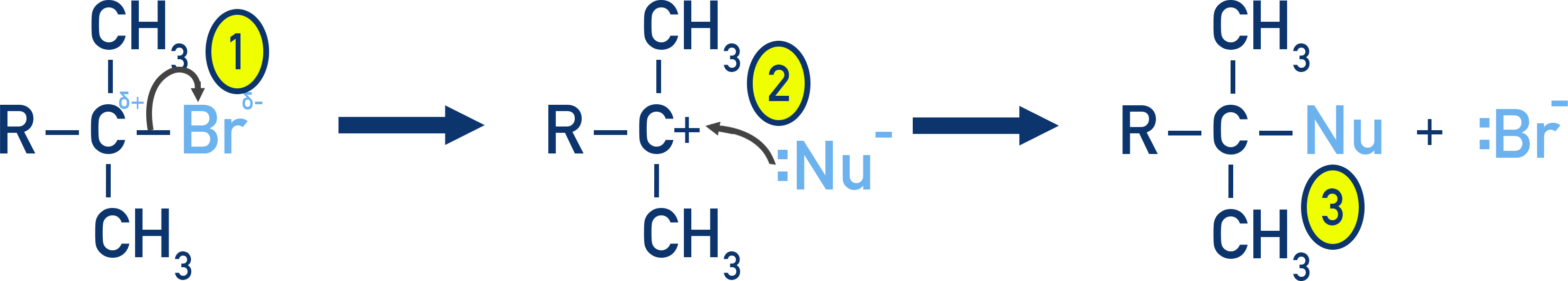 NCERT Class 12 Chemistry SN1 mechanism showing stepwise ionization to a carbocation then nucleophilic attack.