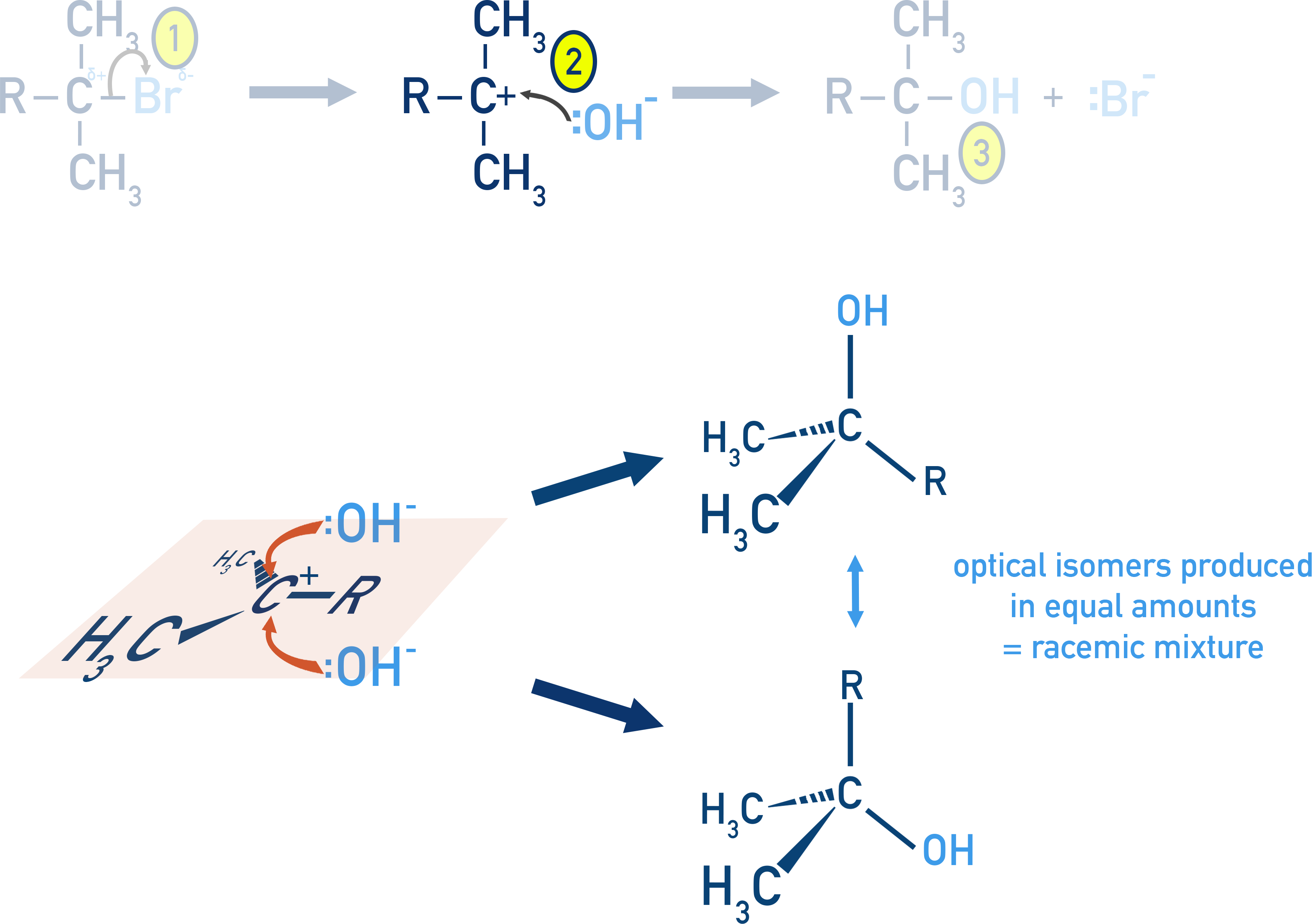 NCERT Class 12 Chemistry stereochemical outcome of SN1 giving racemic mixture due to planar carbocation.