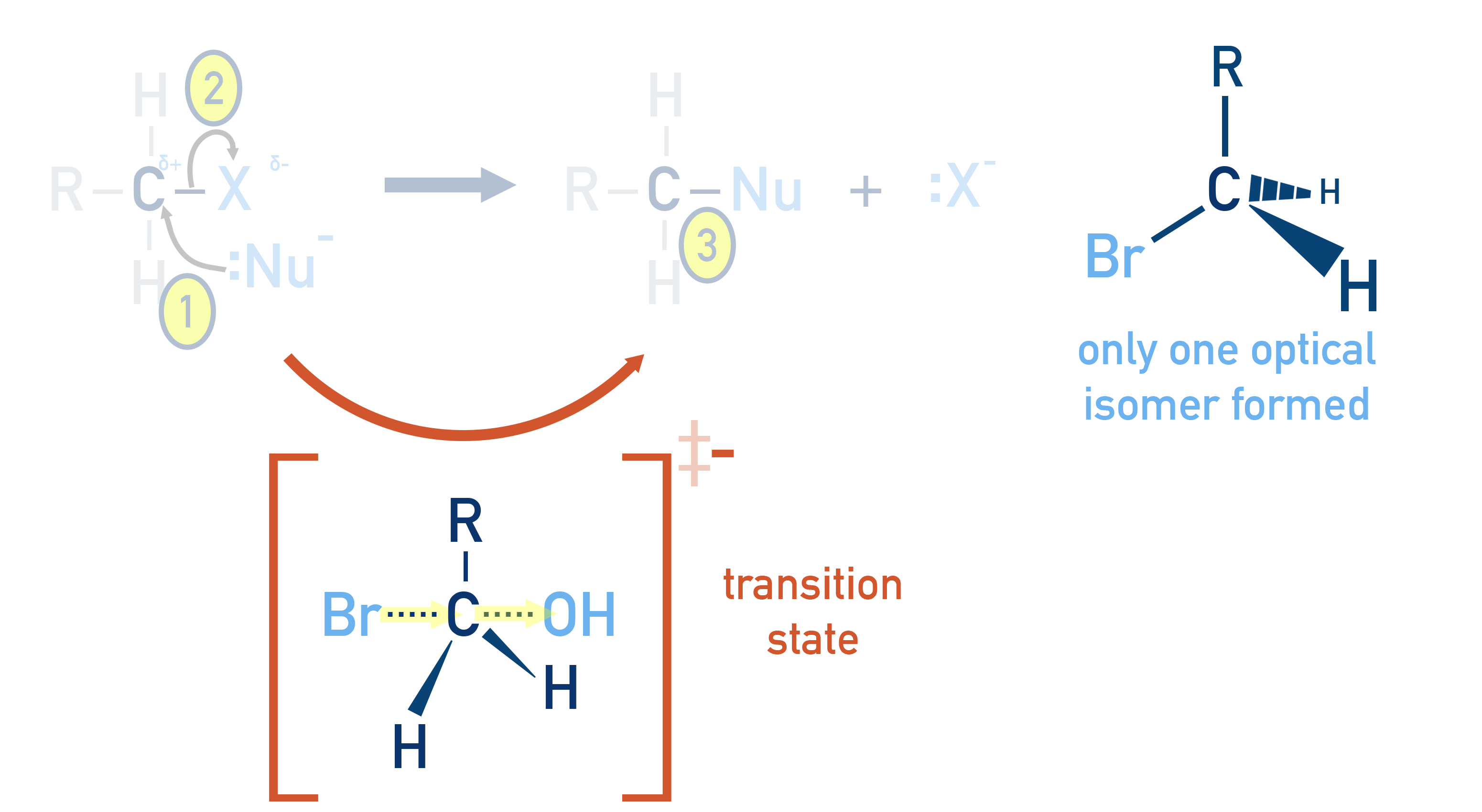NCERT Class 12 Chemistry SN2 backside attack causing Walden inversion and a single stereoisomer.