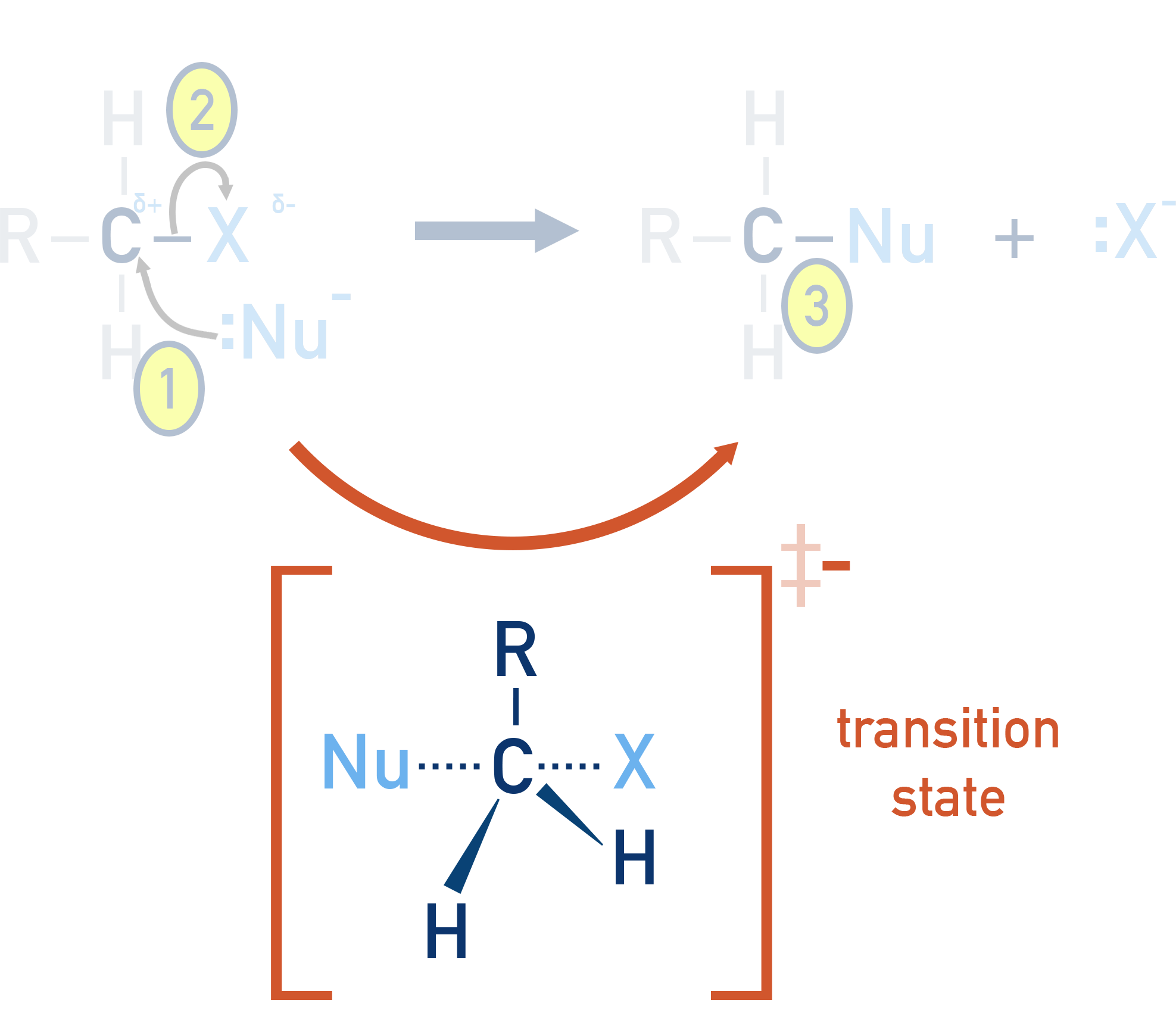 NCERT Class 12 Chemistry SN2 transition state diagram showing backside attack and partial bonds.