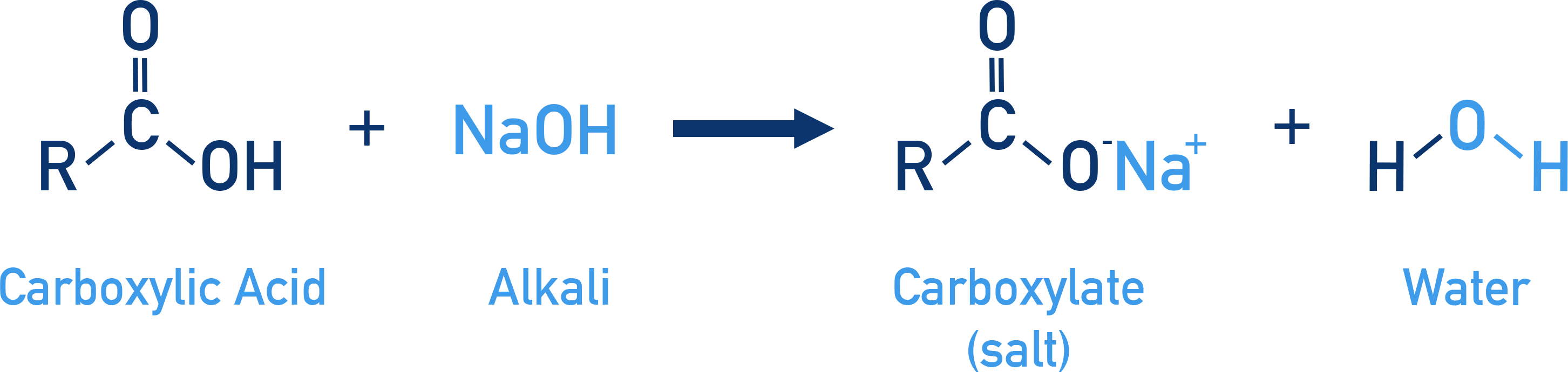 NCERT 11 Chemistry neutralisation of a carboxylic acid with alkali to form carboxylate salt and water.