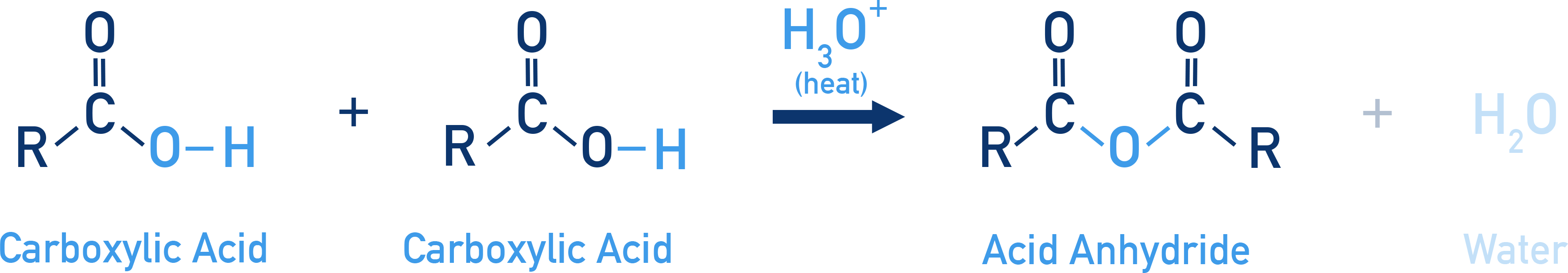 NCERT 12 Chemistry formation of an acid anhydride from two molecules of carboxylic acid with loss of water.