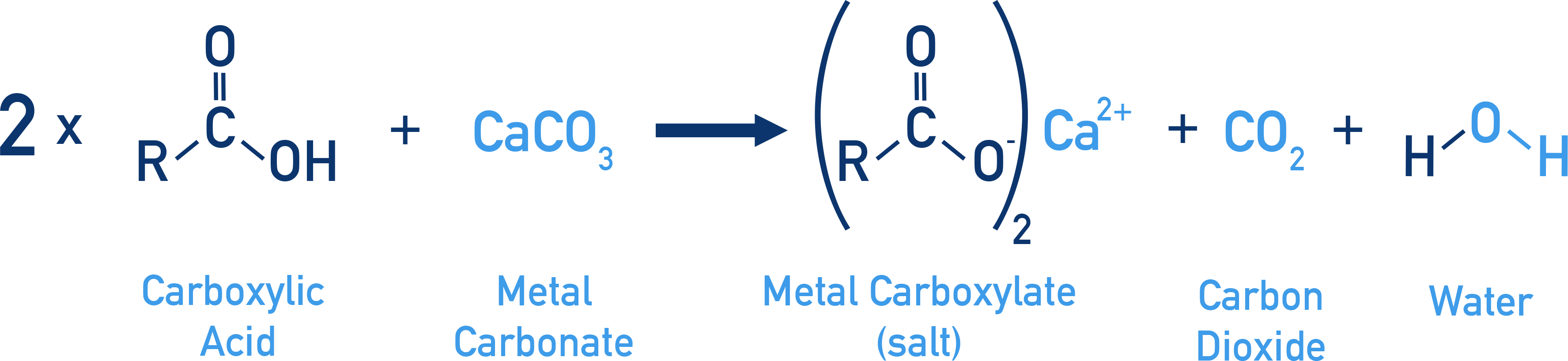 NCERT 11 Chemistry reaction of a carboxylic acid with carbonate producing salt, carbon dioxide and water.