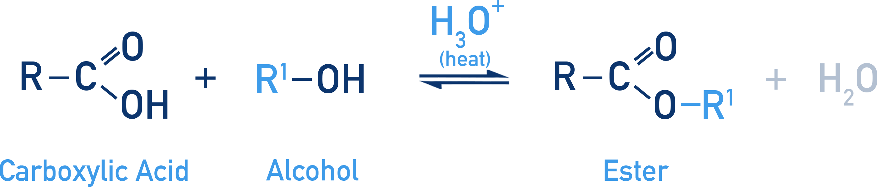 NCERT 12 Chemistry Fischer esterification of carboxylic acid with alcohol to give ester and water.