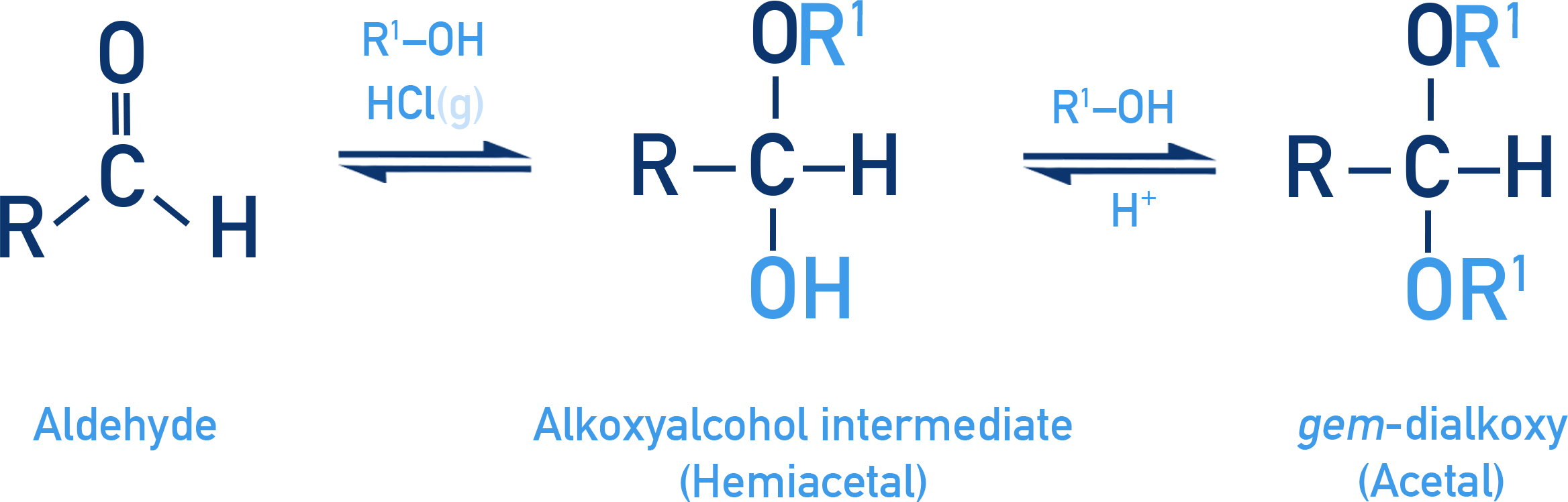 NCERT 11 Chemistry conversion of aldehyde to hemiacetal and acetal with alcohol and dry HCl.