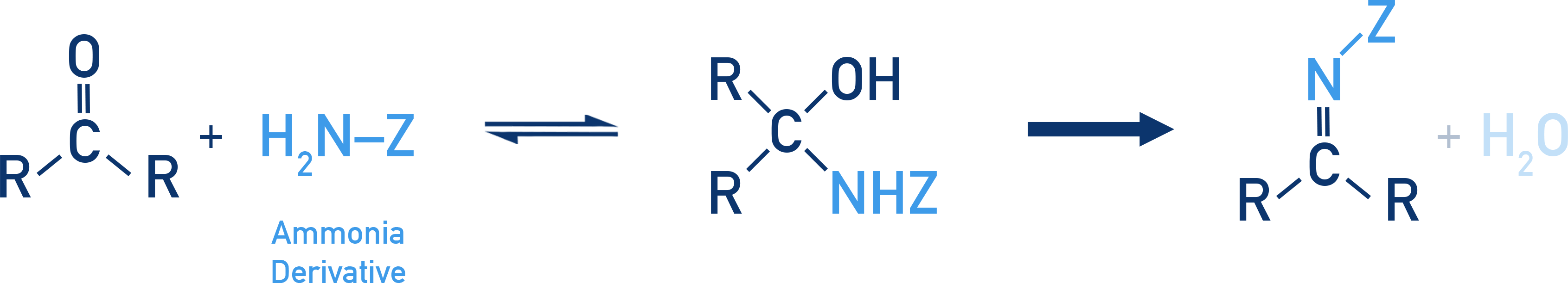 NCERT 12 Chemistry overview of condensation of aldehydes and ketones with ammonia derivatives to give imine-type products.