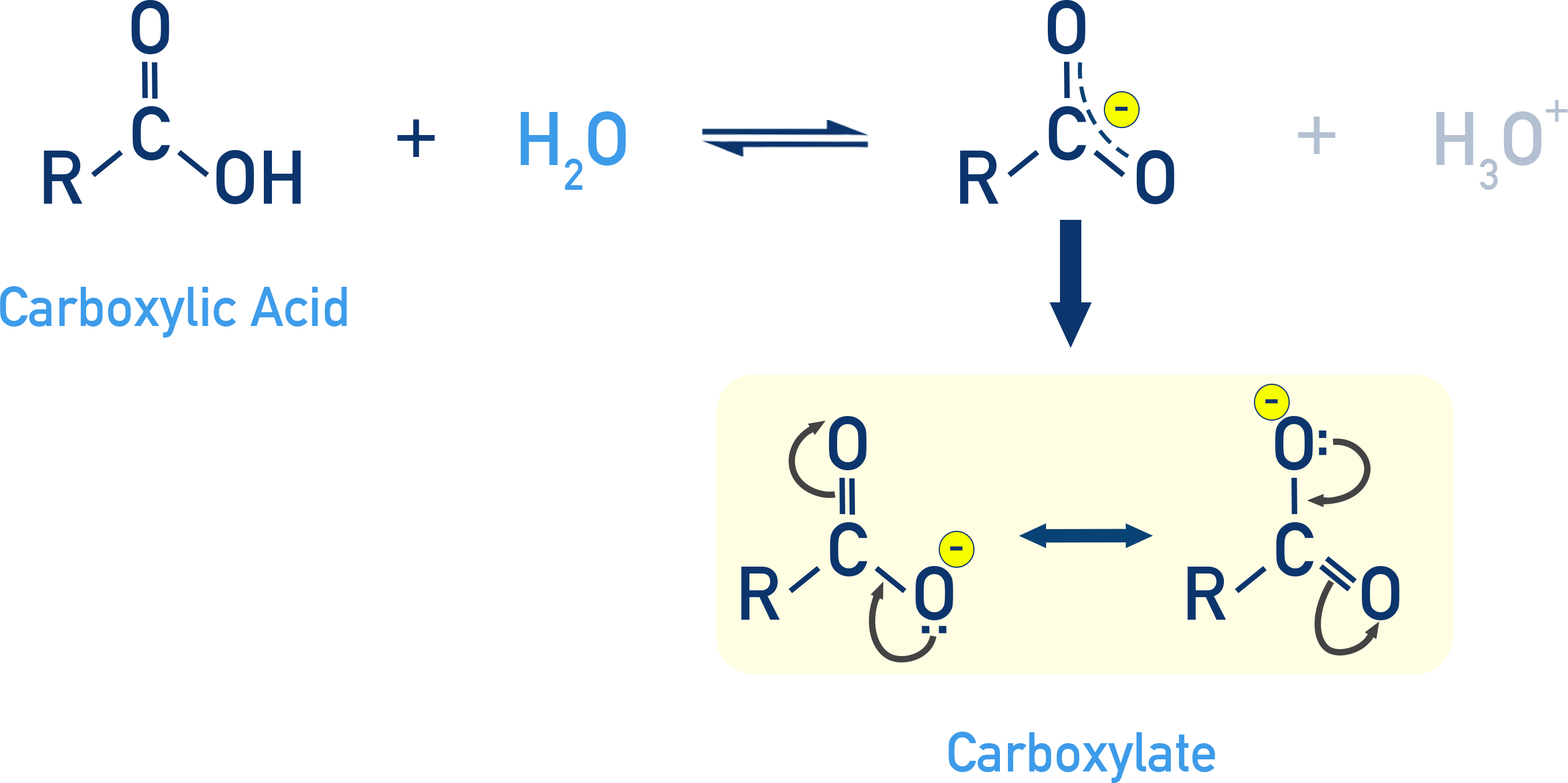NCERT 12 Chemistry carboxylic acid dissociation in water forming resonance-stabilised carboxylate ion and hydronium.
