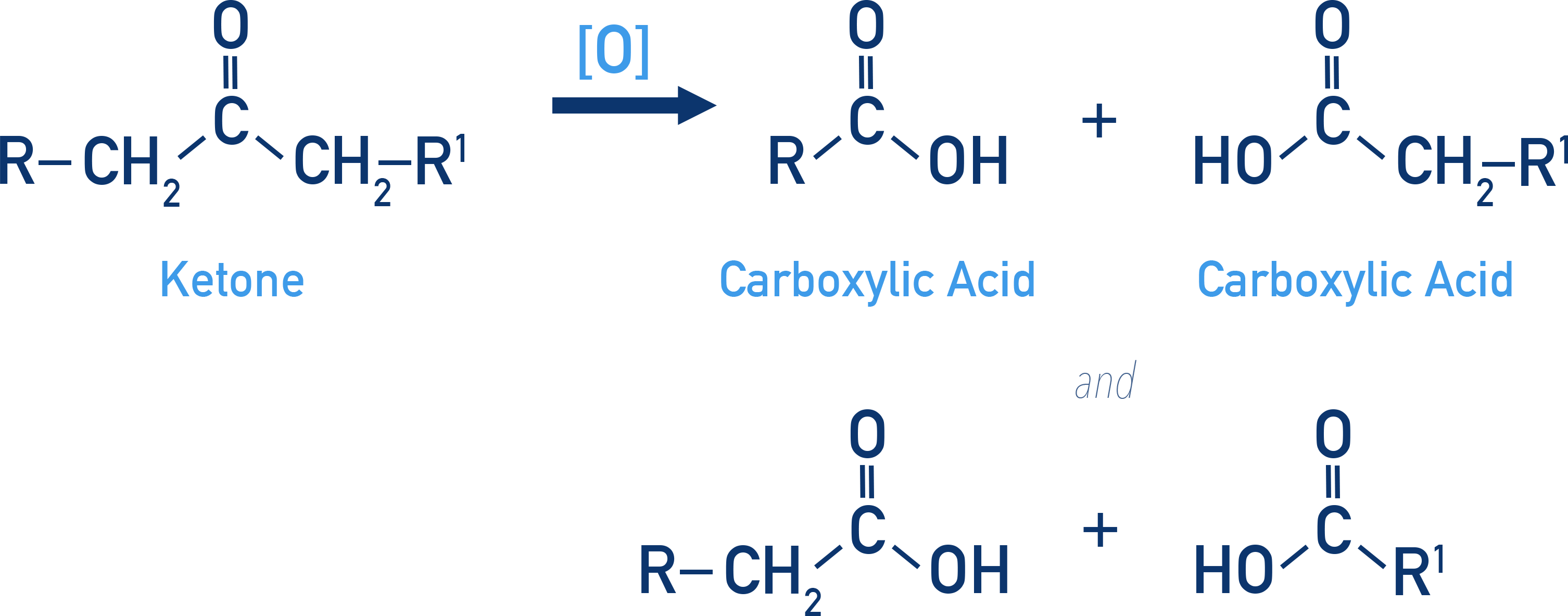 NCERT 12 Chemistry oxidative cleavage of ketones producing a mixture of carboxylic acids with fewer carbon atoms.