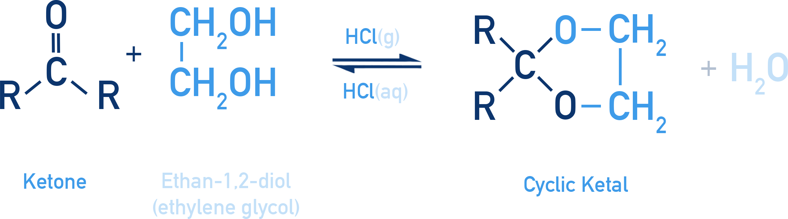 NCERT 11 Chemistry formation of a cyclic ketal from a ketone and ethylene glycol under acid catalysis.