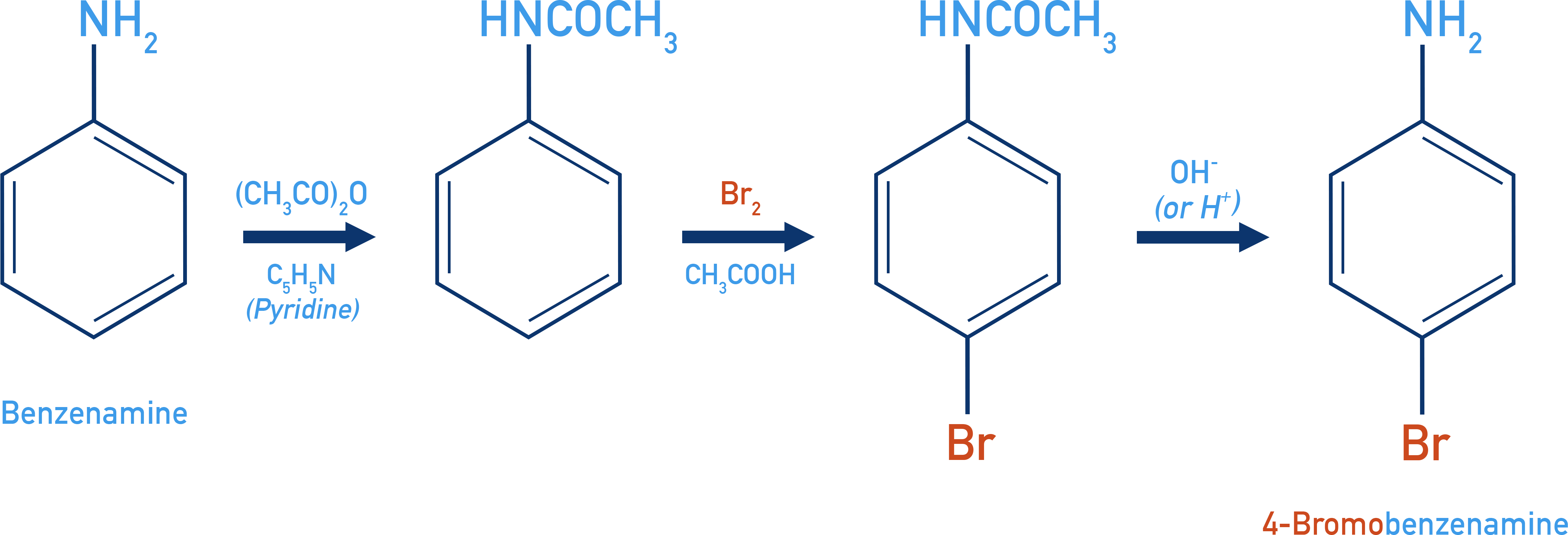 NCERT 12 Chemistry controlled bromination via acetanilide protection to yield p-bromoaniline after hydrolysis.