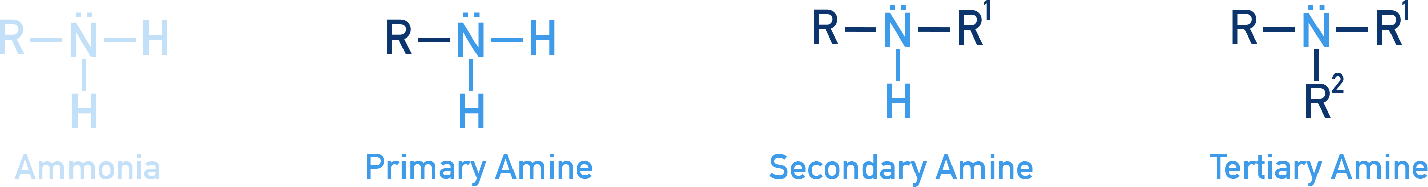 NCERT Chemistry Class 12 Amines – diagram showing primary, secondary and tertiary amines with R groups attached to nitrogen.