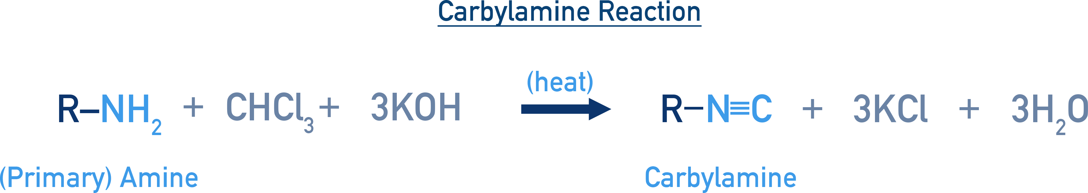 NCERT 12 Chemistry carbylamine reaction where primary amines with chloroform and KOH give isocyanides.