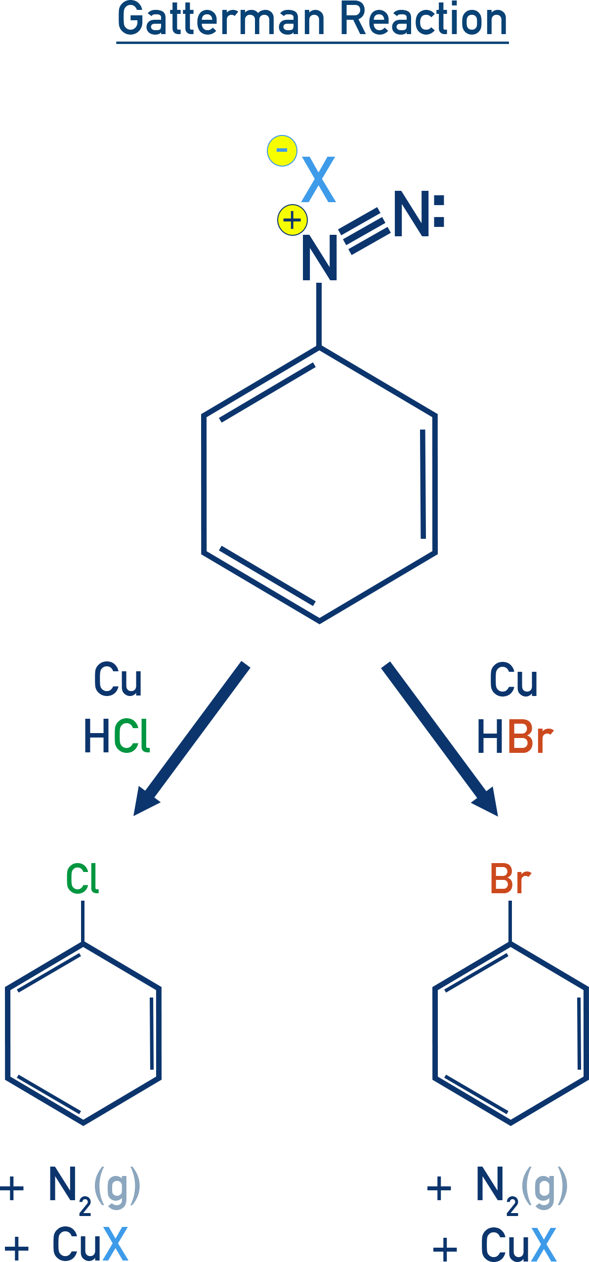 NCERT 12 Chemistry Gattermann reaction using copper powder and HX to replace the diazonium group with halogen on an aromatic ring.