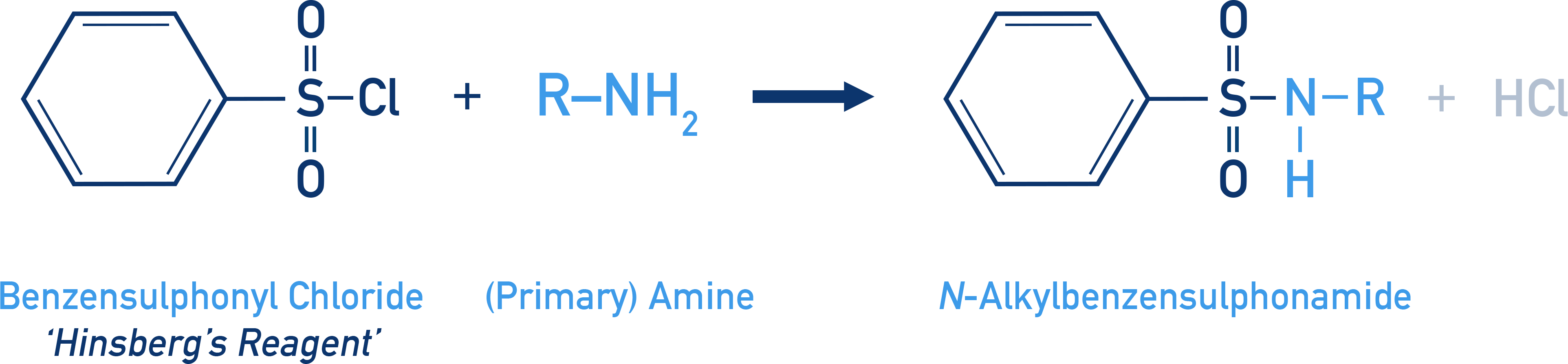 NCERT 12 Chemistry Hinsberg test showing formation of sulphonamide from a primary amine and benzenesulphonyl chloride.