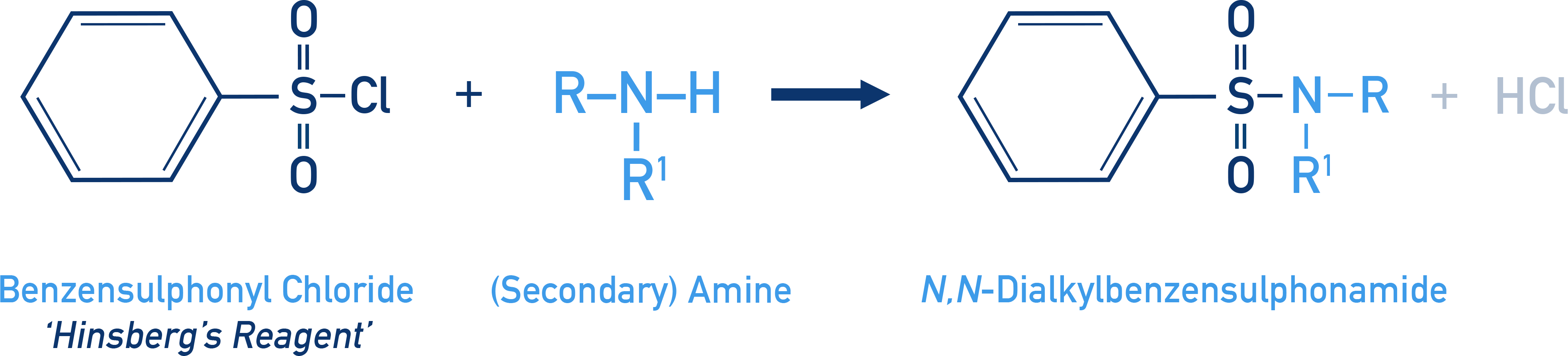 NCERT 12 Chemistry Hinsberg test forming N,N-disubstituted sulphonamide from a secondary amine which is insoluble in alkali.