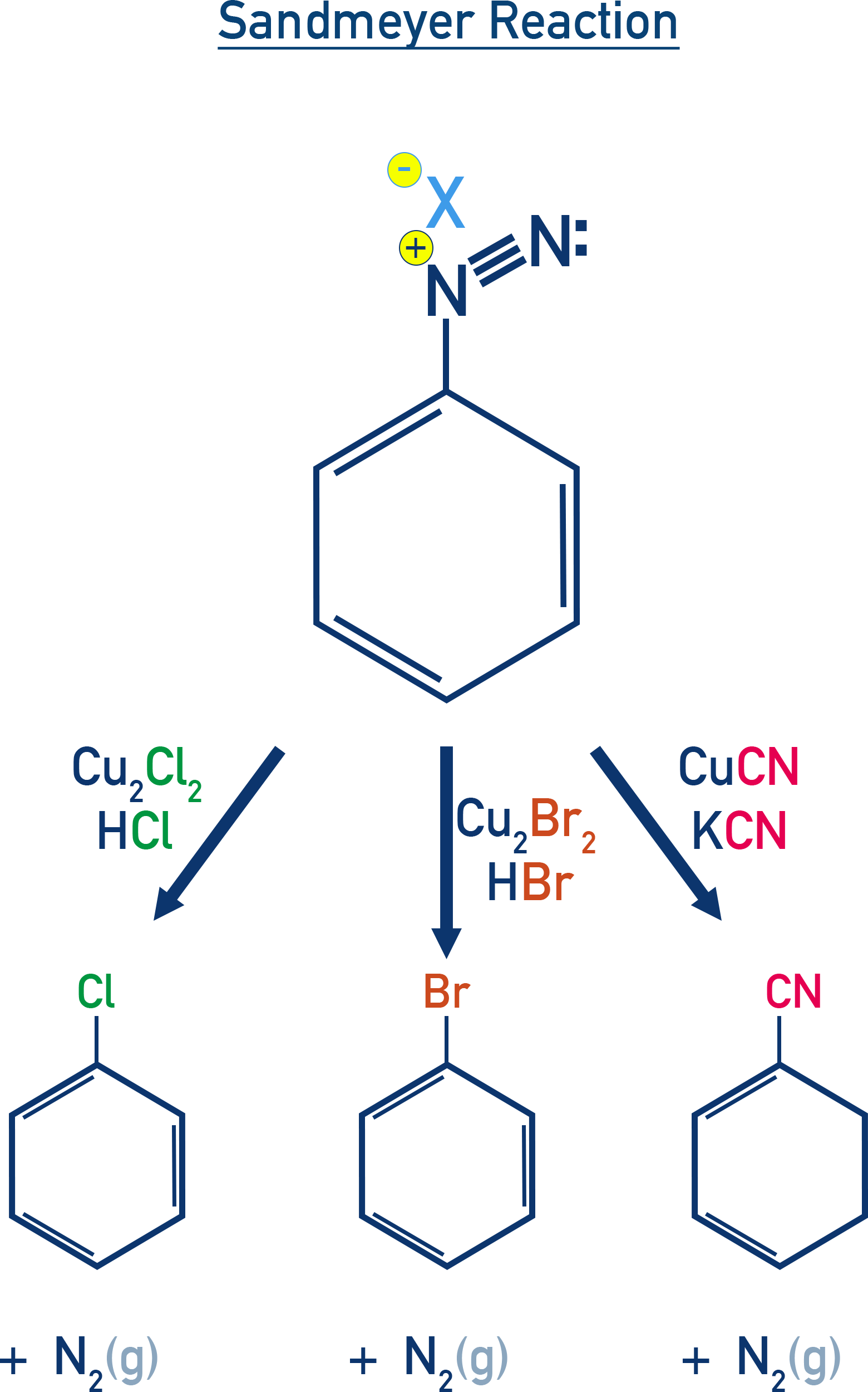NCERT 12 Chemistry Sandmeyer reaction scheme showing replacement of diazonium group by chloride, bromide, or cyanide using CuCl, CuBr, or CuCN catalysts.