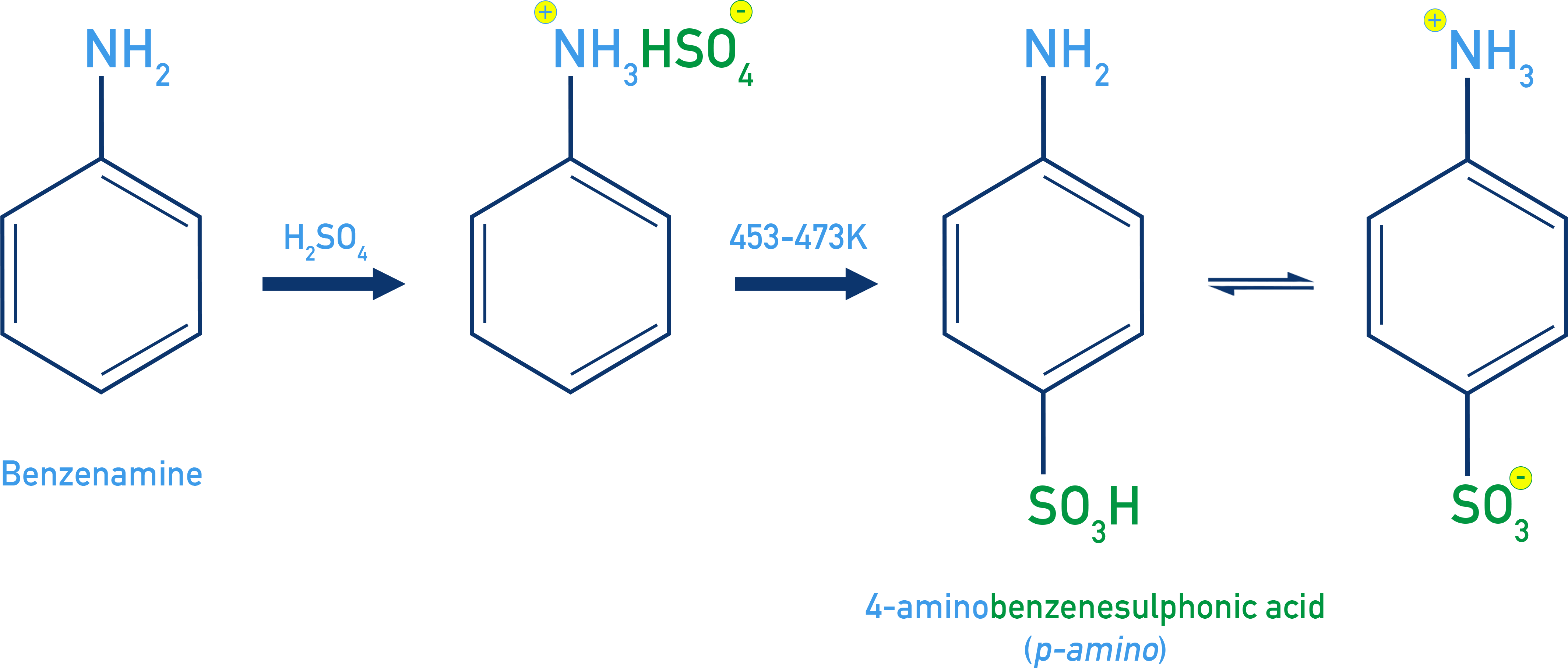 NCERT 12 Chemistry sulphonation of aniline via anilinium hydrogen sulphate to form sulphanilic acid.
