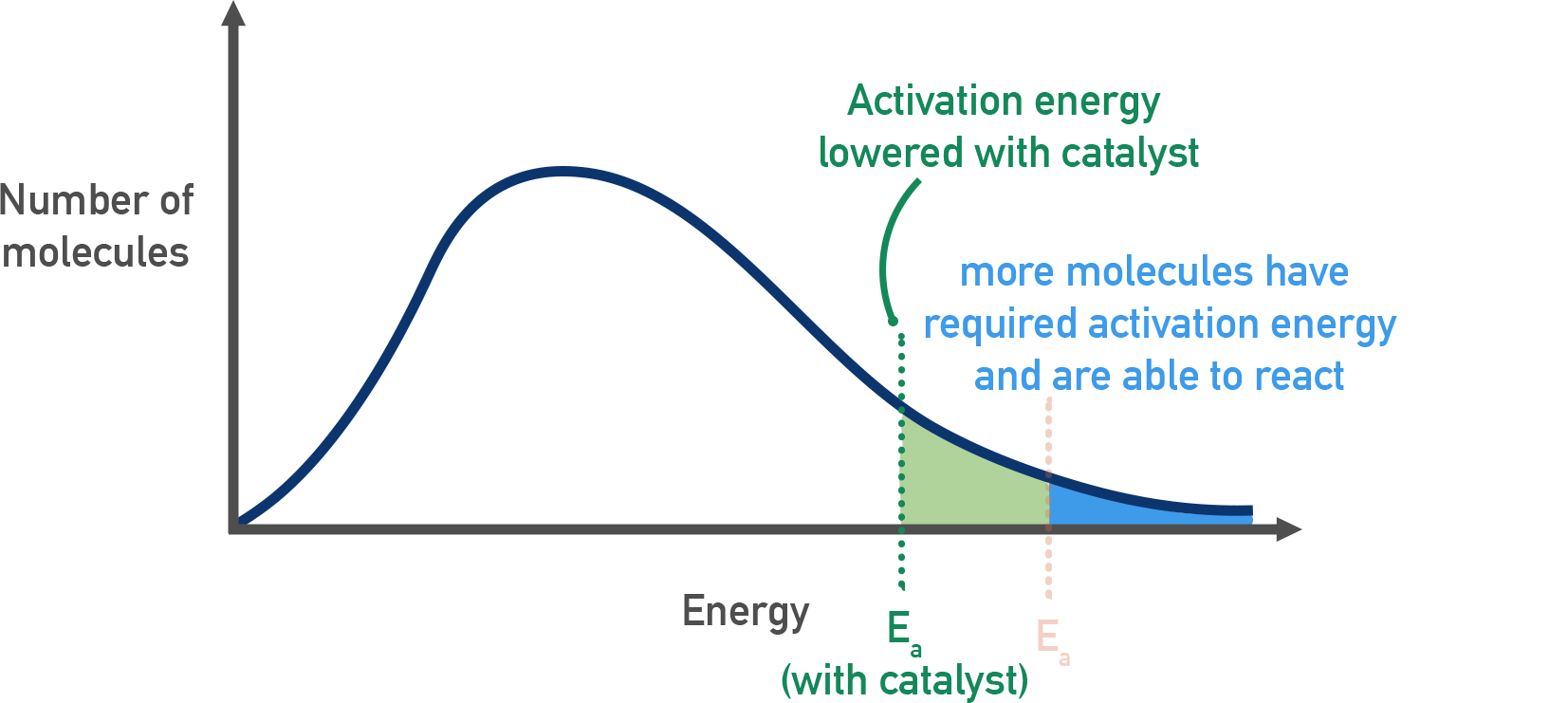 OCR (A) A-Level Chemistry Maxwell-Boltzmann curve showing effect of catalyst lowering activation energy threshold.