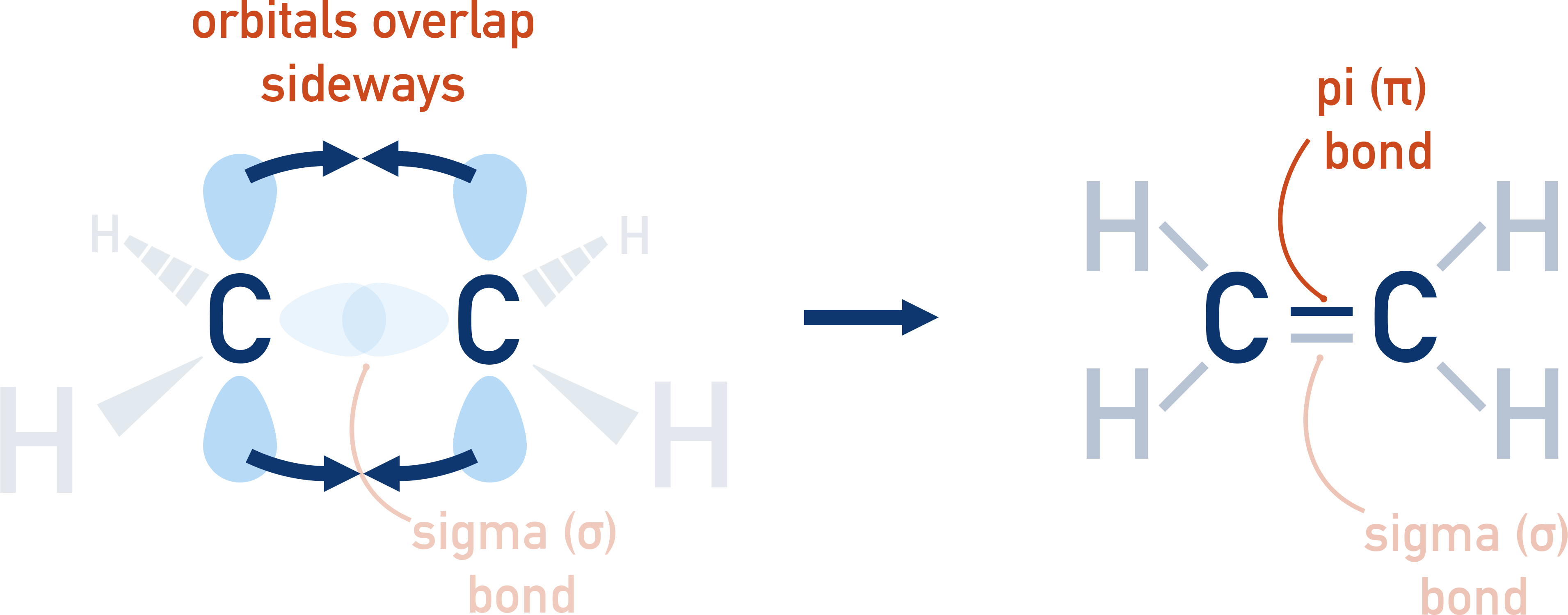 OCR (A) A-Level Chemistry diagram showing sigma and pi bonding in alkenes.