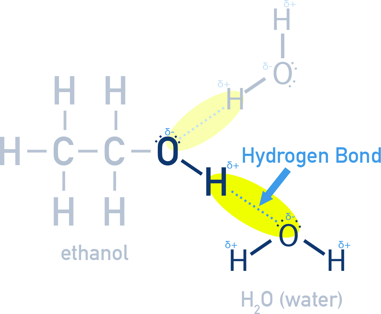 OCR (A) A-Level Chemistry diagram showing hydrogen bonding between alcohol molecules and water molecules.