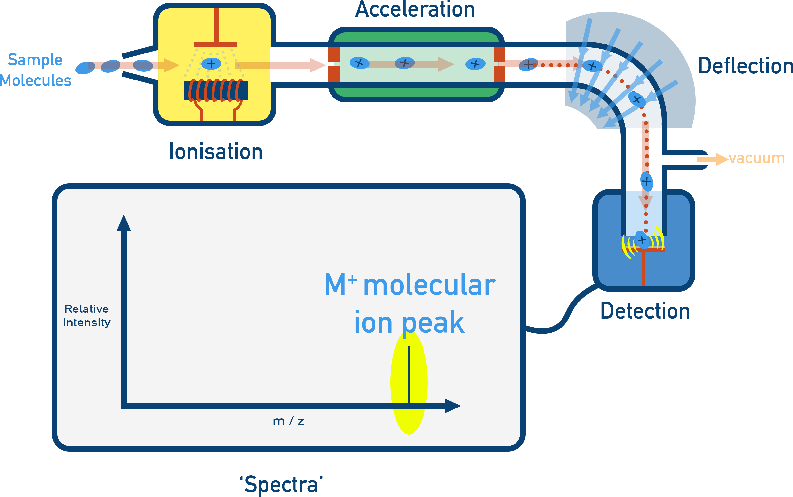 Mass spectrum with labelled molecular ion peak and fragment peaks.
