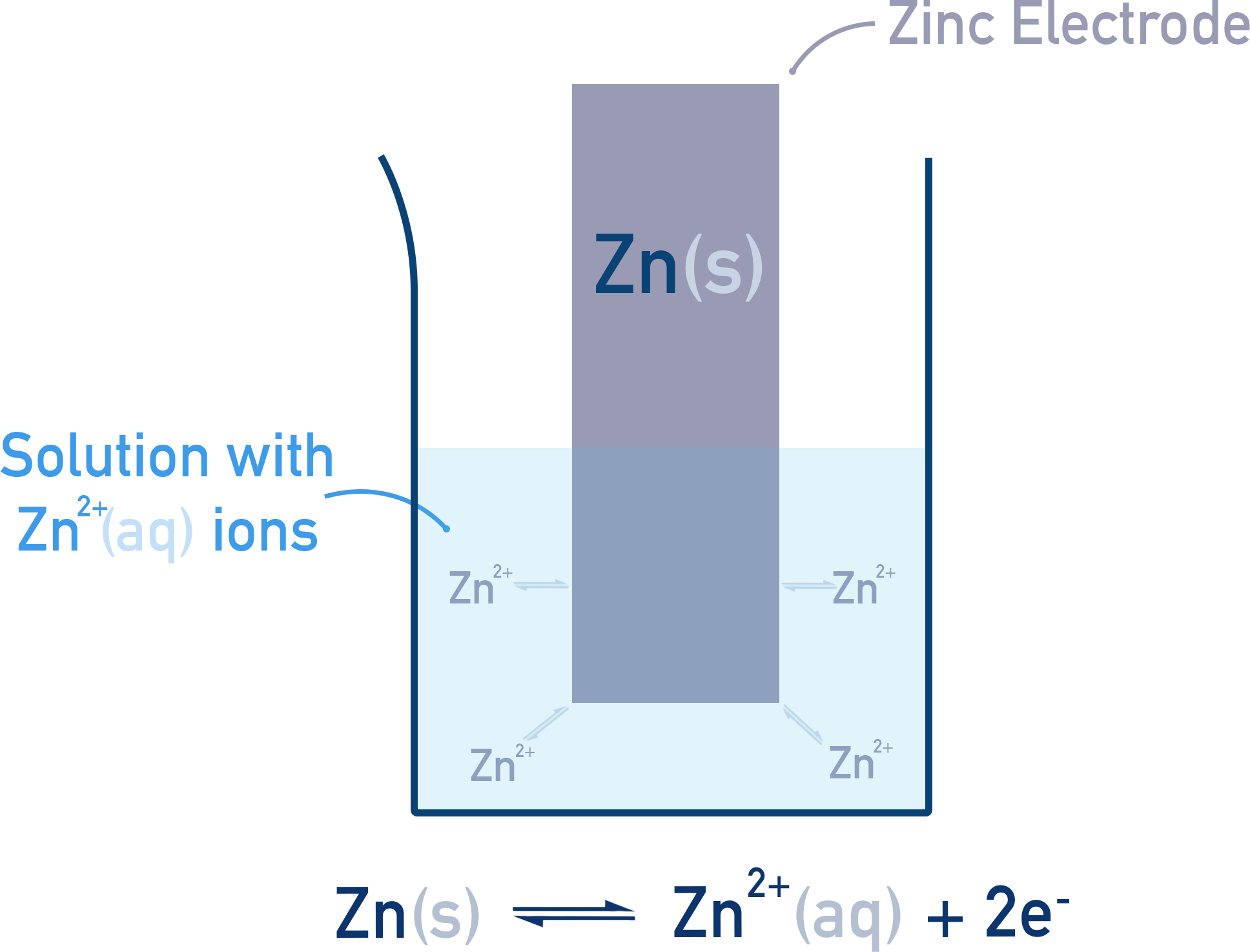 OCR (A) A-Level Chemistry zinc metal electrode dipped in Zn²⁺(aq) forming a simple metal/ion half-cell.