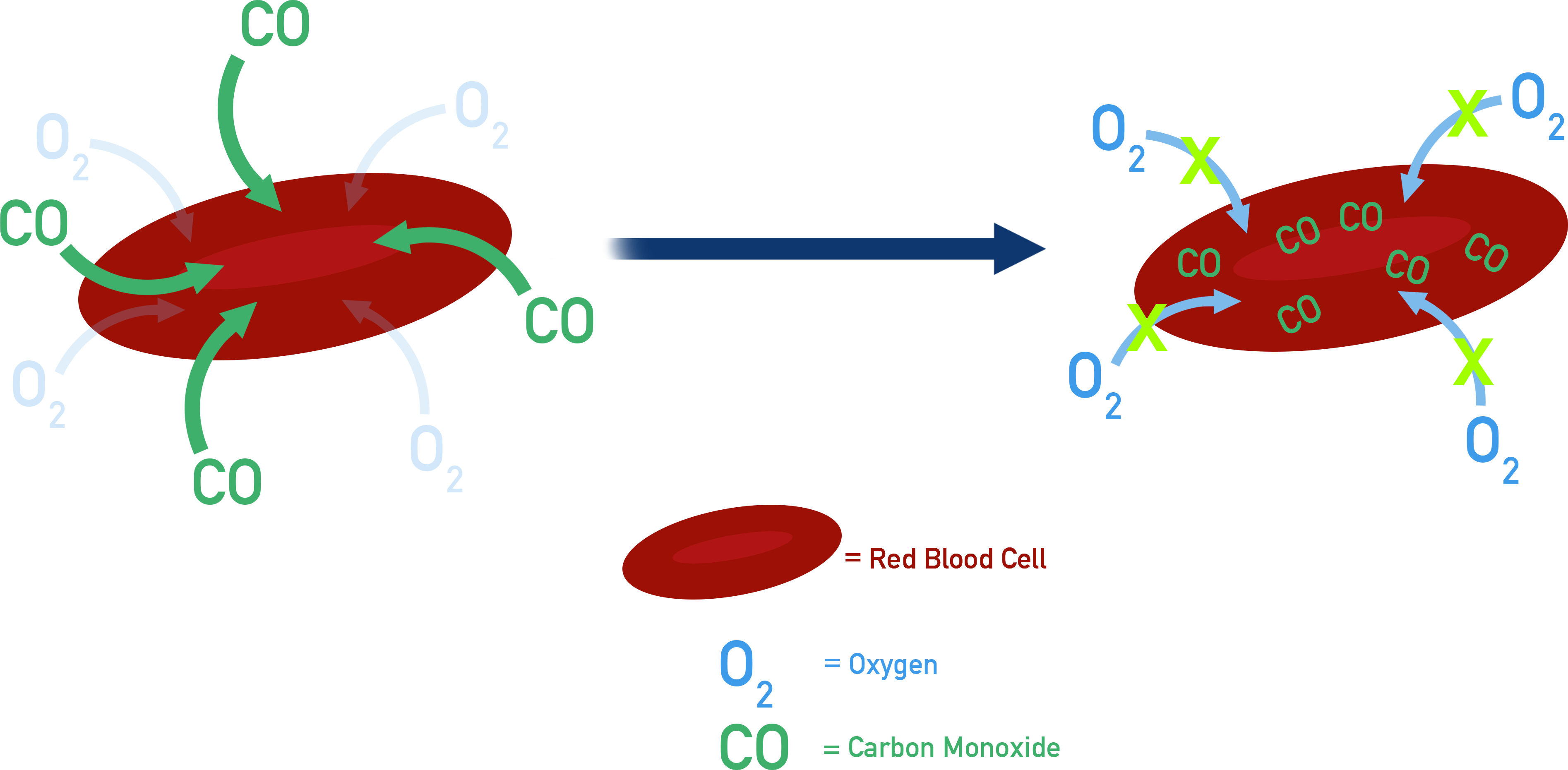OCR (A) A-Level Chemistry haemoglobin ligand substitution with carbon monoxide vs oxygen.