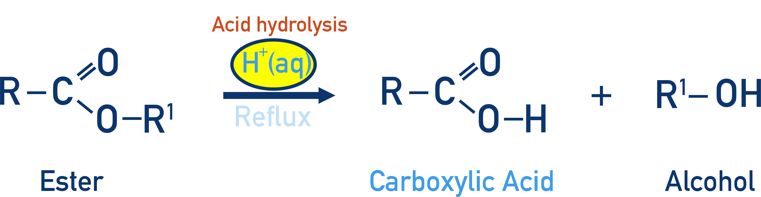 OCR (A) A-Level Chemistry acid hydrolysis of esters forming carboxylic acid and alcohol.
